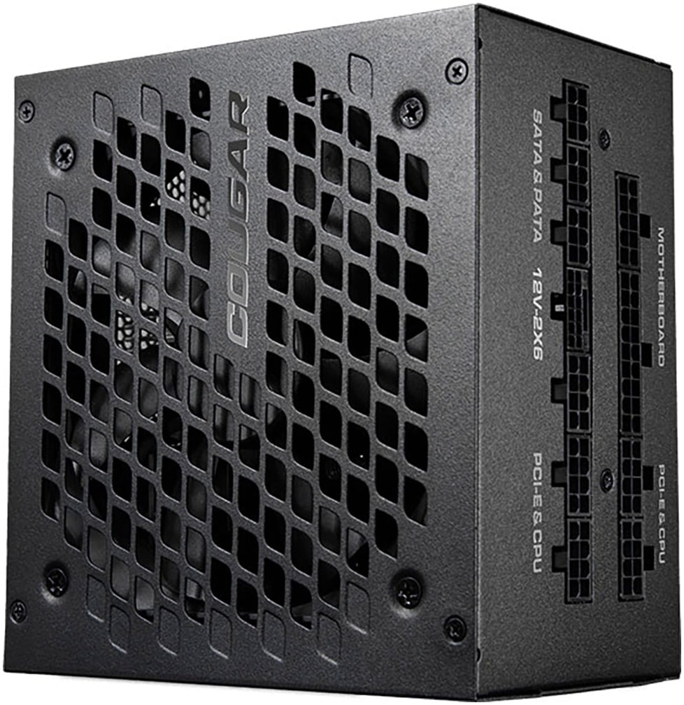 Cougar thermoelektrische Generatoren »GEX X2 1000 ATX 3.0 Platinum Effizienz«, Für Pc geeignet