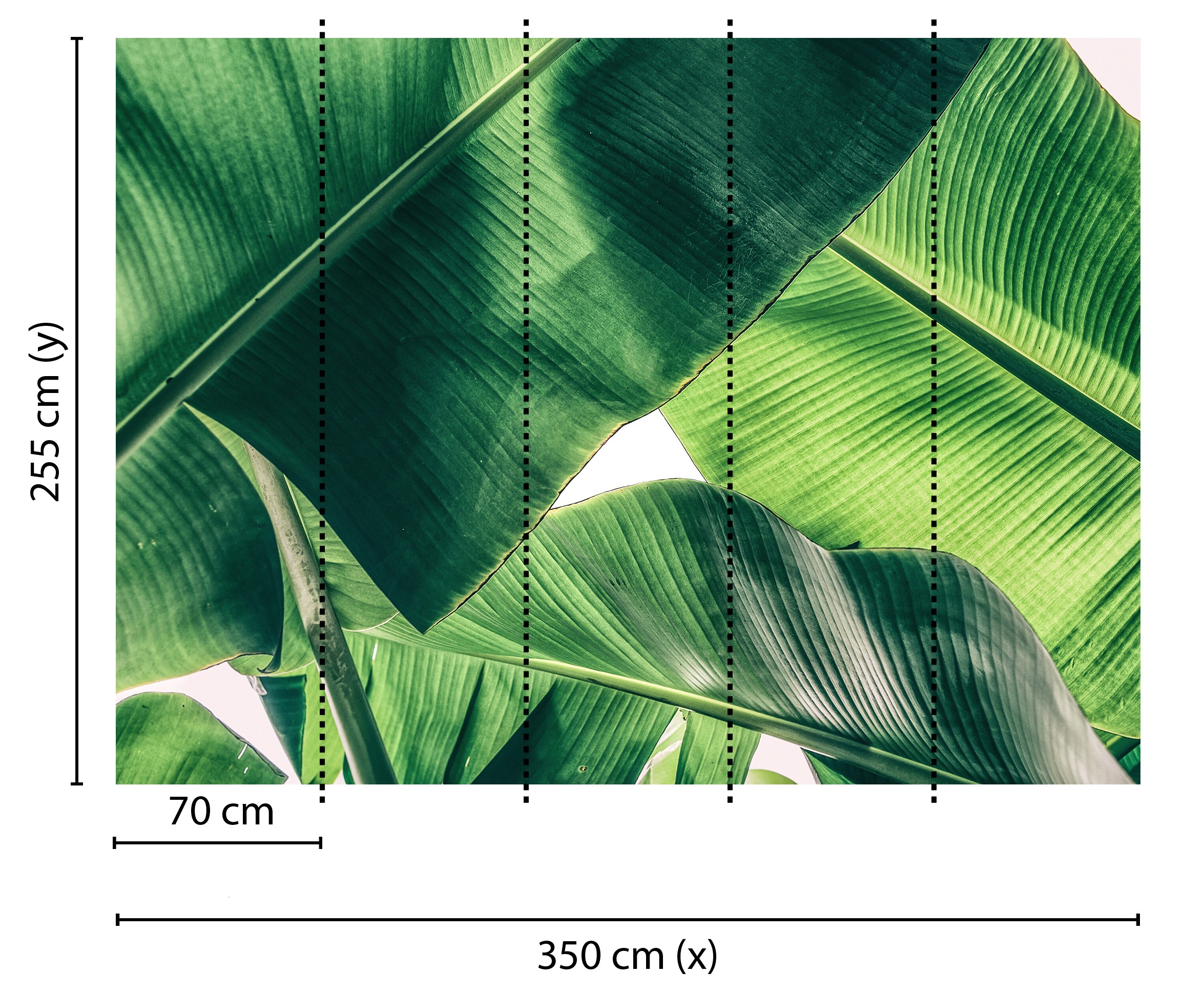 living walls Fototapete »Designwalls Broken Leaf 1«, Vlies, Wand, Schräge, Decke