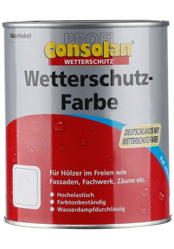 Consolan  Consolan  Wetterschutzfarbe »Profi Hol...