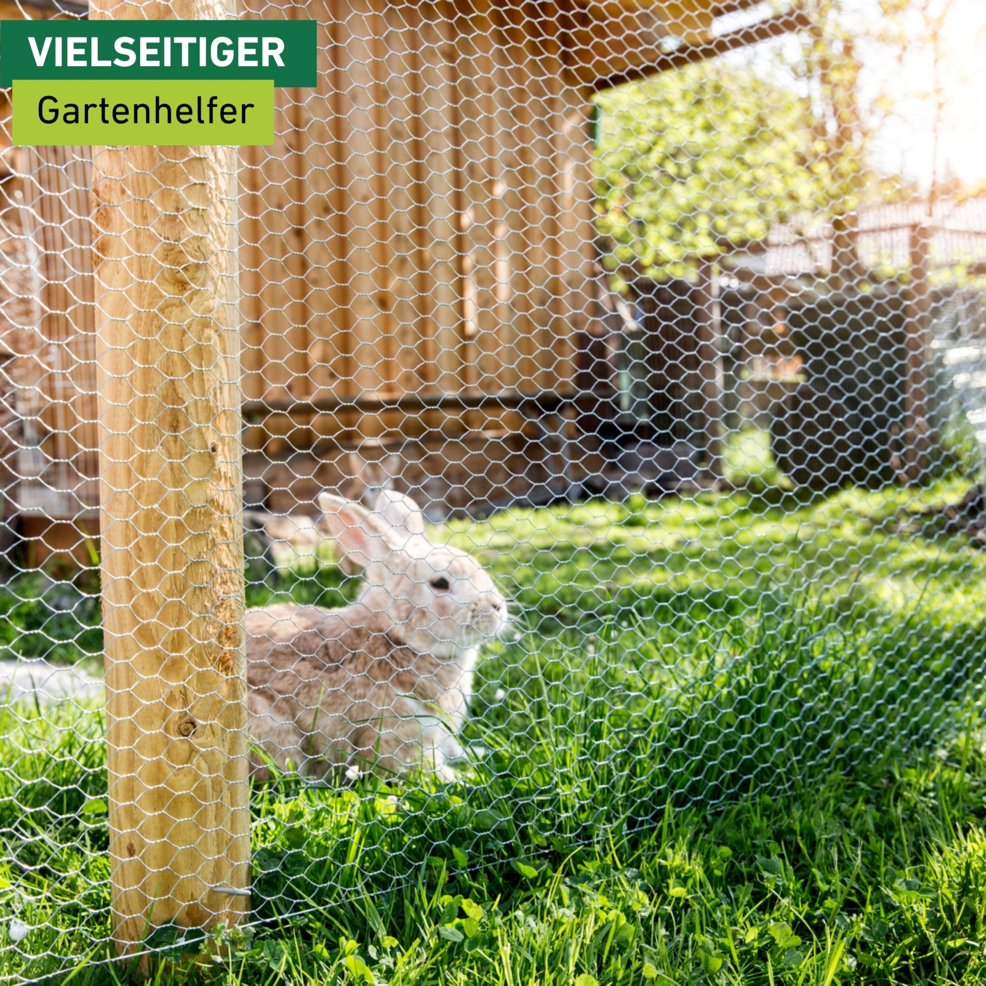Windhager Voliere »für Hasen, Hühner und Vögel, Kleintiergeflecht verzinkt« Sechseck-Geflecht erhältlich in unterschiedlichen Größen