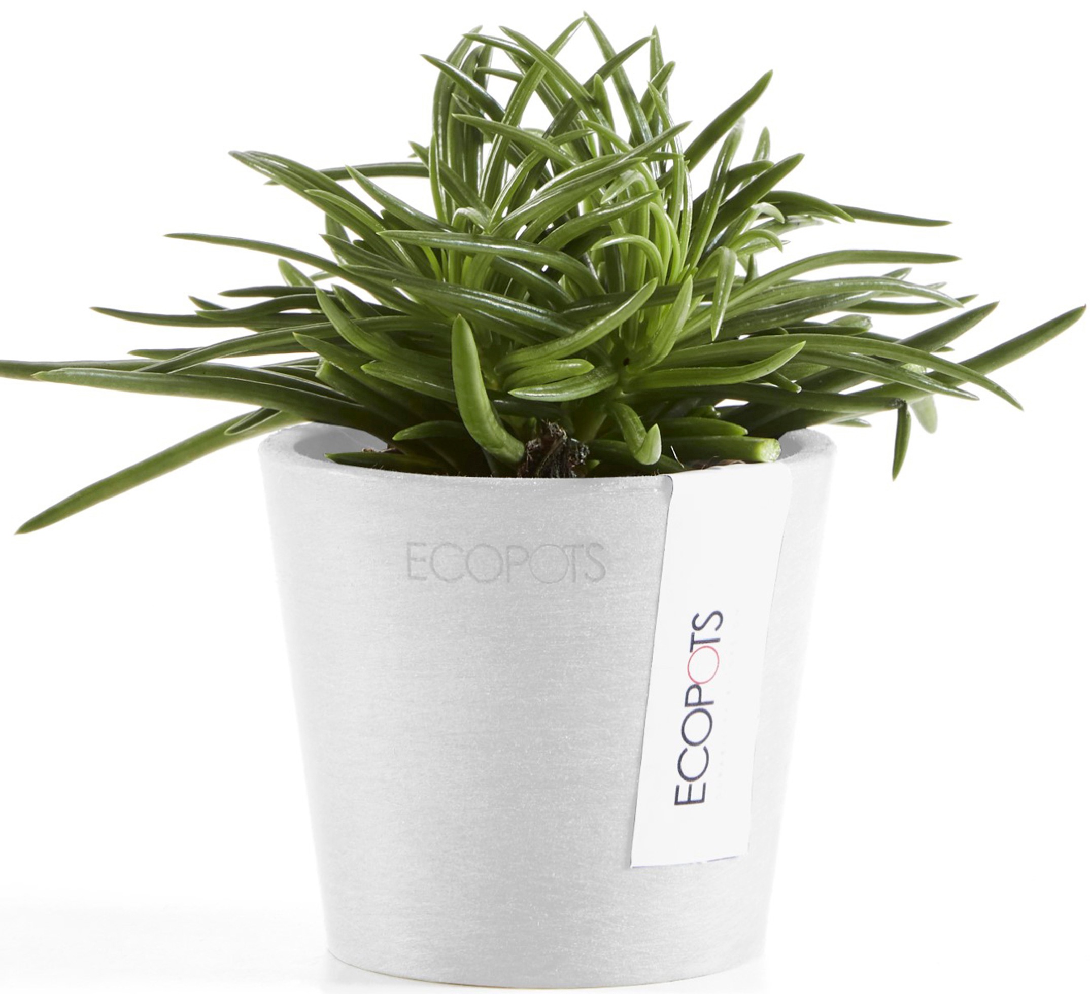ECOPOTS Blumentopf »Amsterdam Mini 8 Weiß«, für den Innenbereich