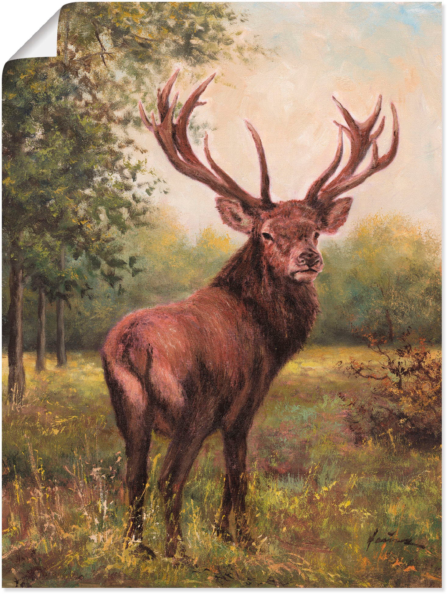 Artland Wandbild "Hirsch" Wildtiere 1 Stk. tlg. als Leinwandbild, Poster, W günstig online kaufen