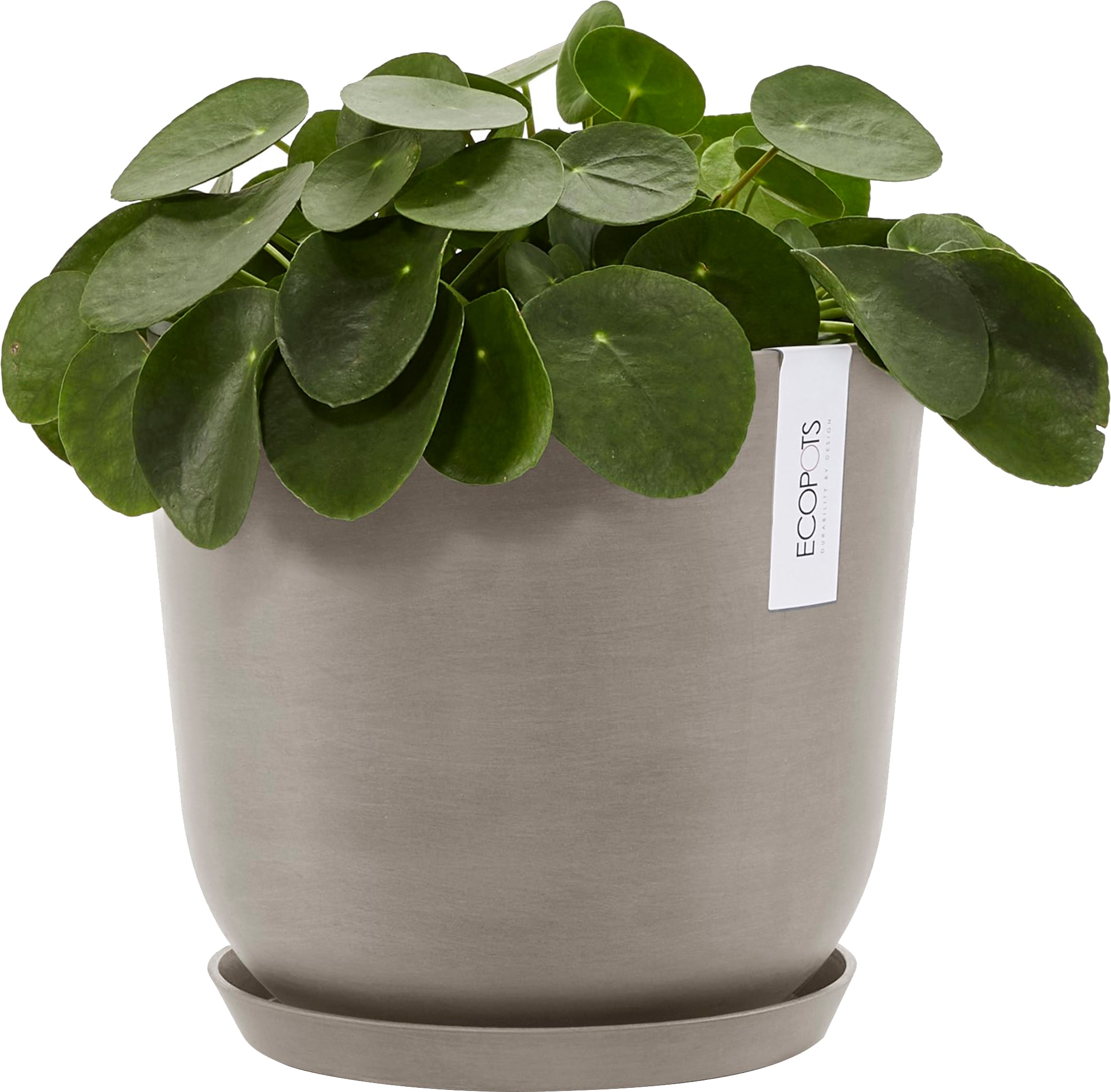 ECOPOTS Blumentopf »Oslo 25 Taupe«, für innen und außen: frostsicher, bruchsicher und lichtbeständig