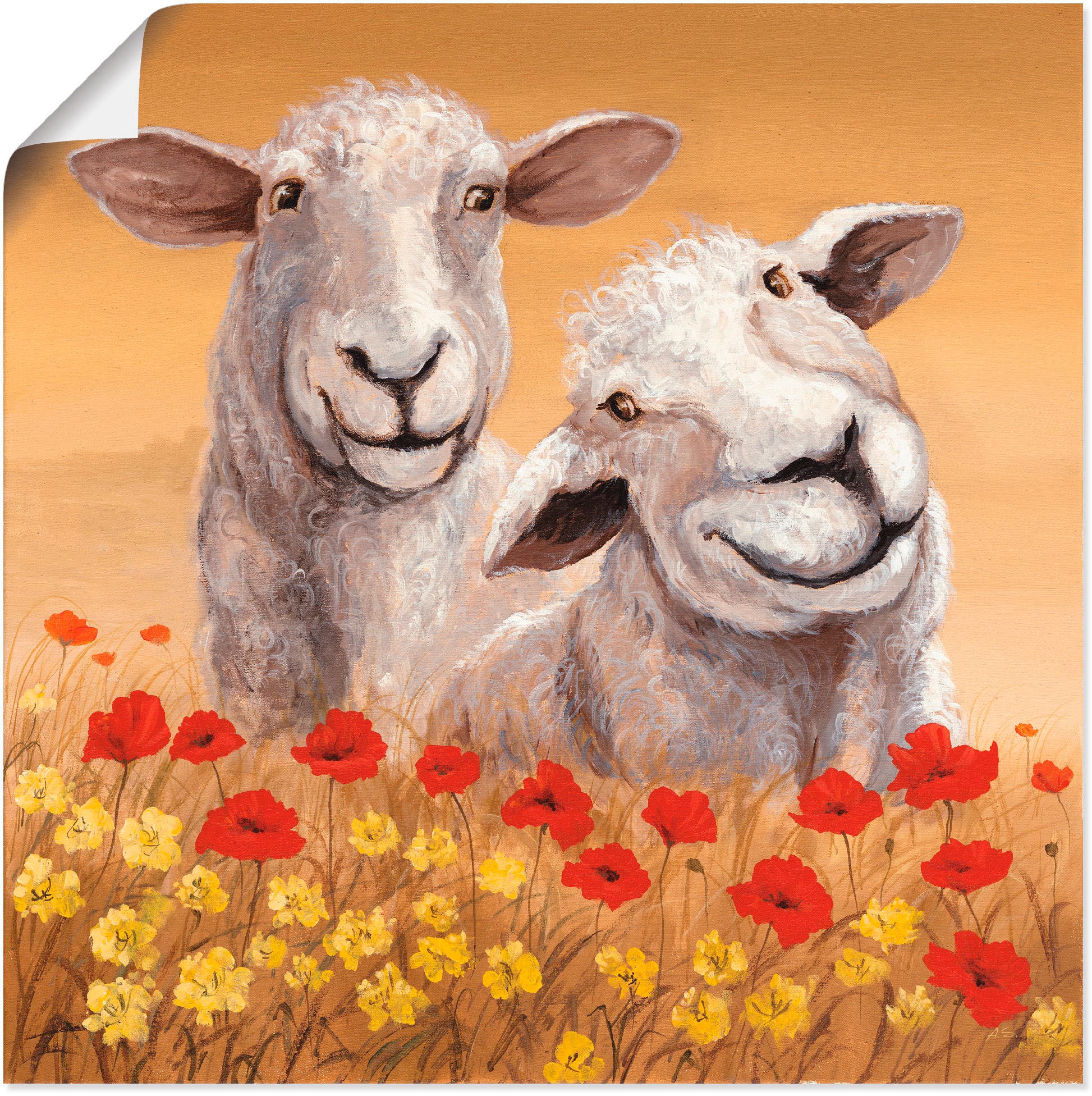 Artland Wandbild "Schafe" Haustiere 1 Stk. tlg. als Alubild, Outdoorbild, L günstig online kaufen