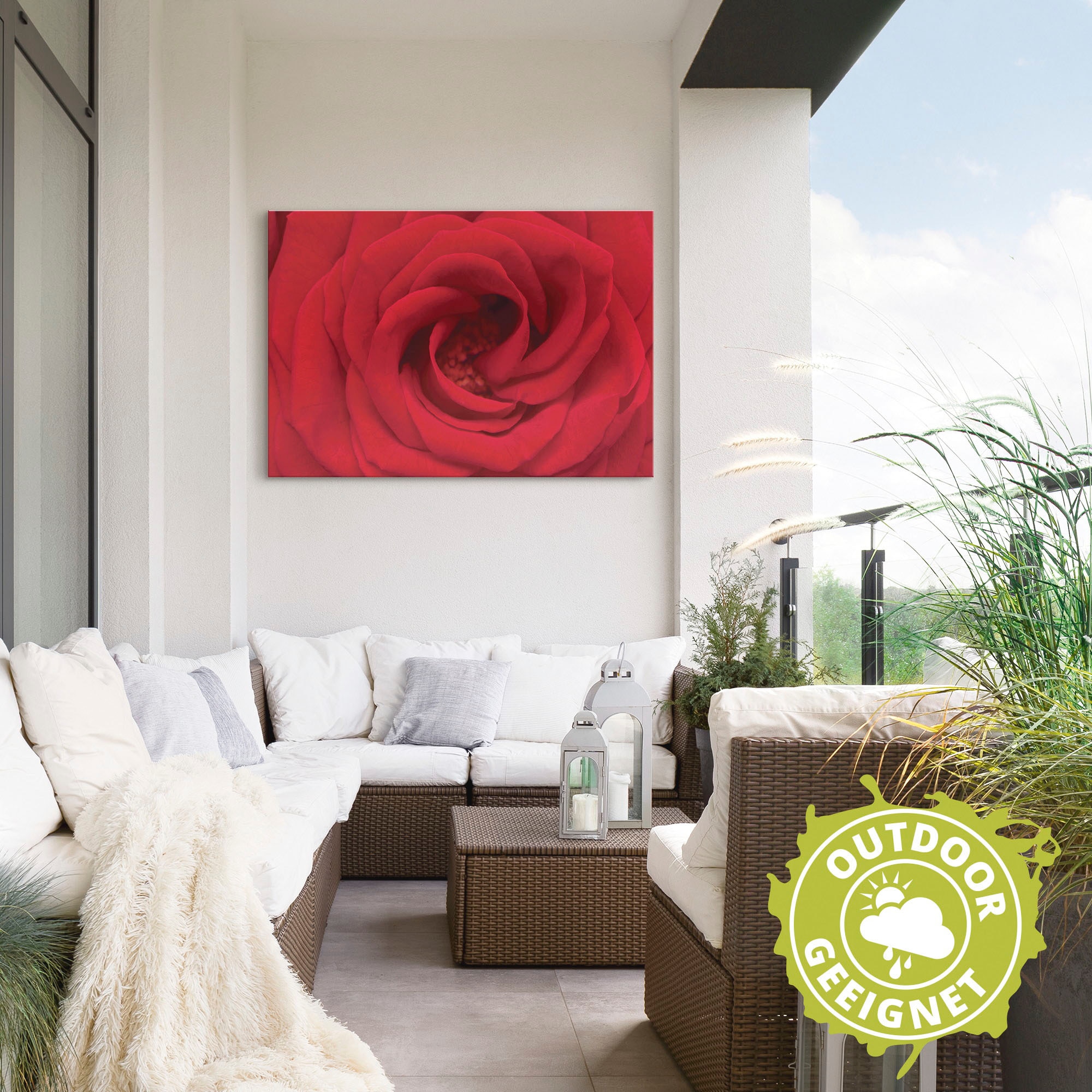 Artland Wandbild »Rote Rose«, Blumen, (1 St.), als Alubild, Outdoorbild, Leinwandbild in verschied. Größen