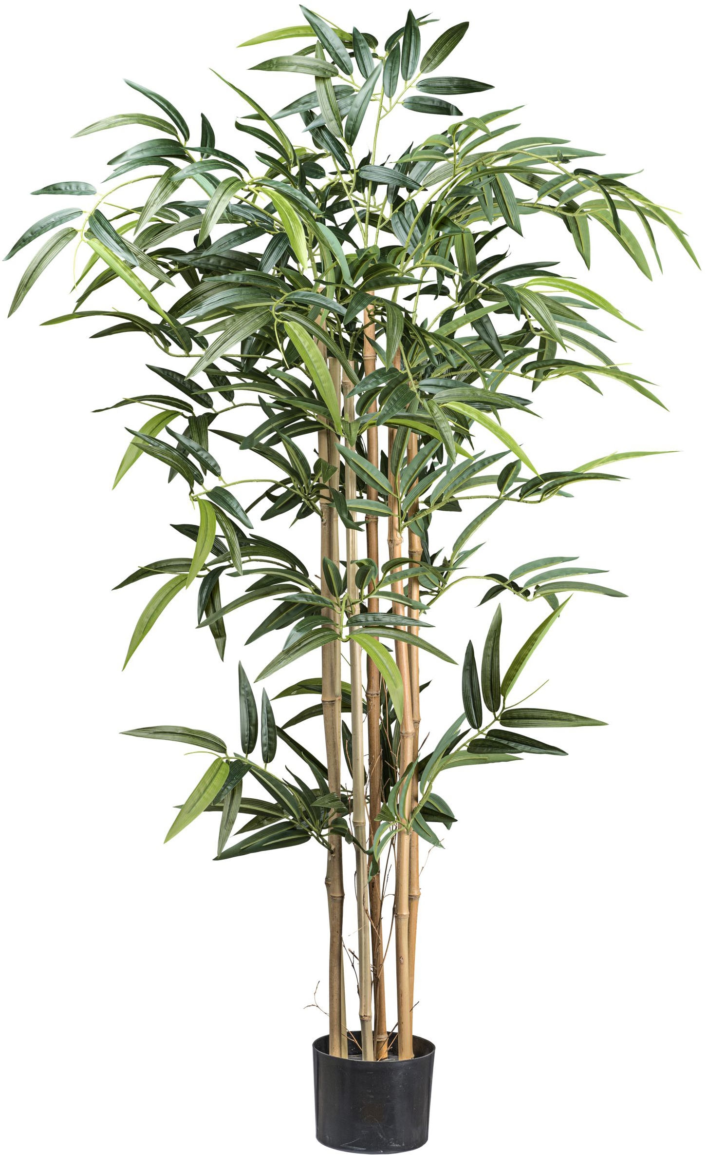 Kunstbaum Bambus Bambus, Creativ green, Höhe günstig online kaufen