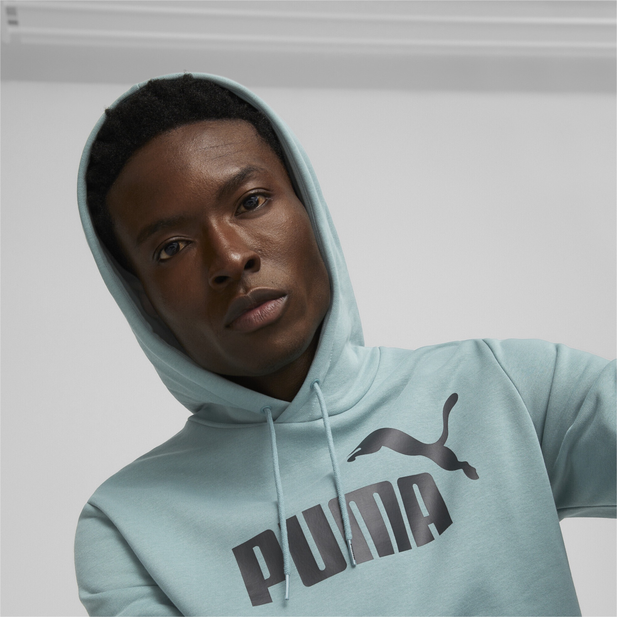 PUMA Sweatshirt »Essentials Big Logo Herren-Hoodie«