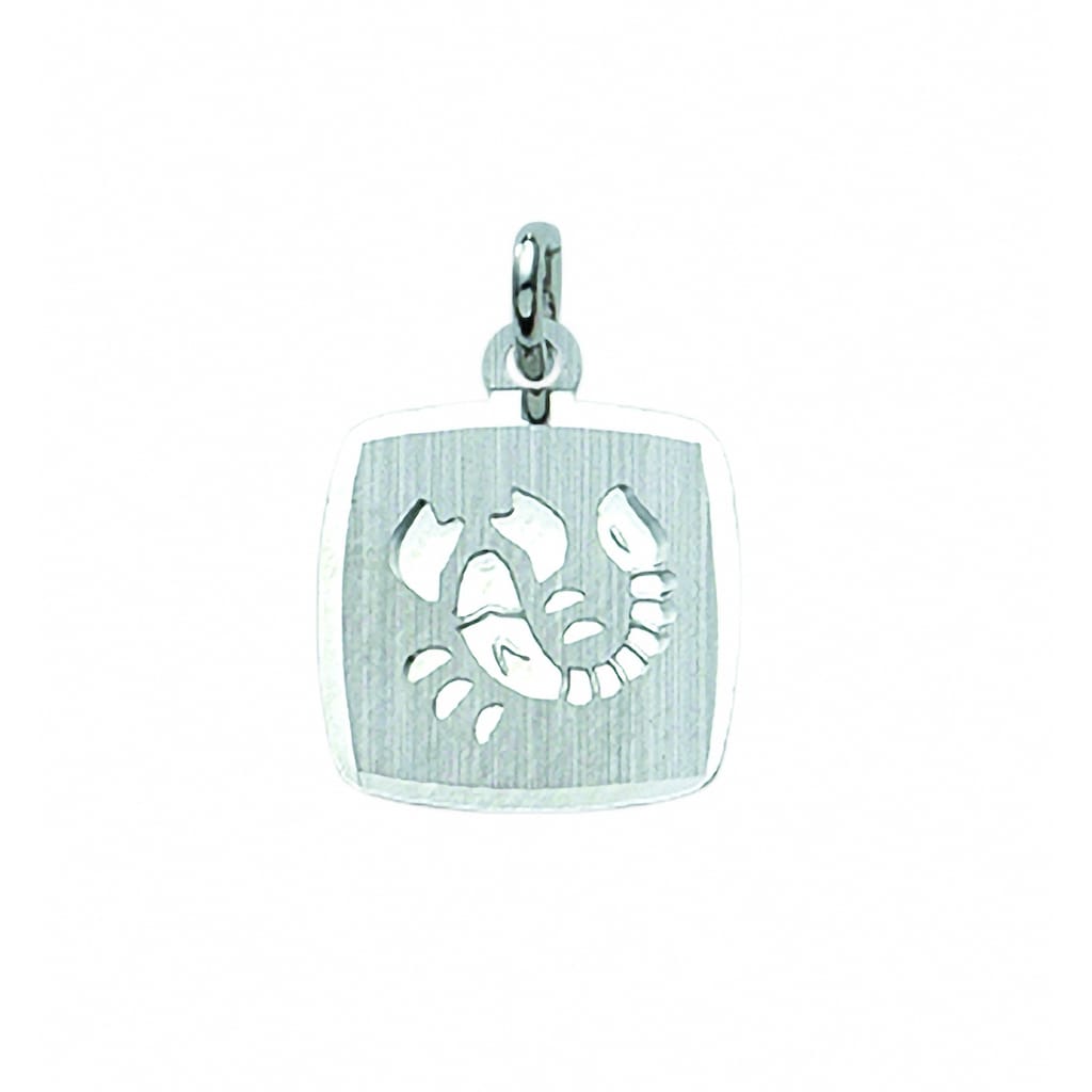 Adelia´s Kette mit Anhänger »925 Silber Sternzeichen Anhänger Skorpion« Schmuckset Set mit Halskette