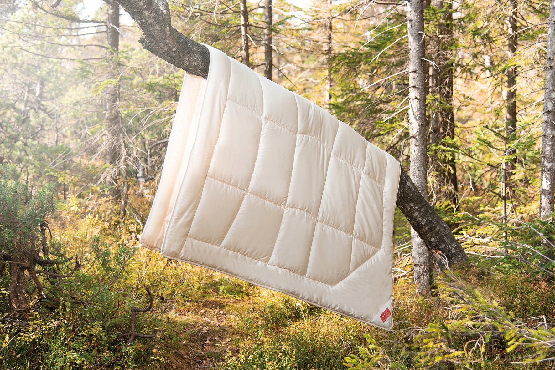 Hefel Naturfaserbettdecke "Bio-Timber" extraleicht 1 Stk. tlg. günstig online kaufen