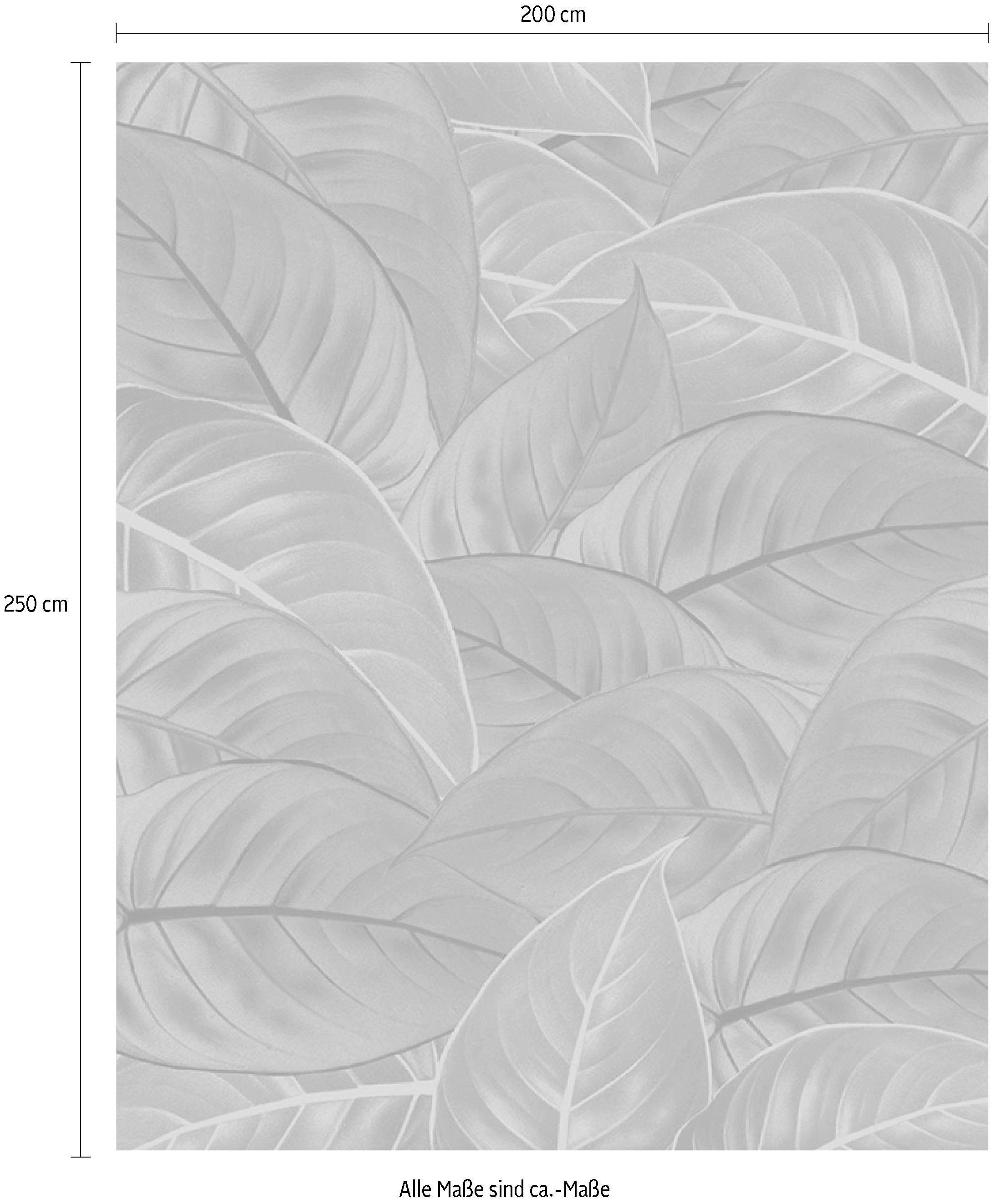 Komar Vliestapete »Digitaldruck Vlies - Jungle Leaves - Größe 200 x 250 cm«, bedruckt, Wohnzimmer, Schlafzimmer