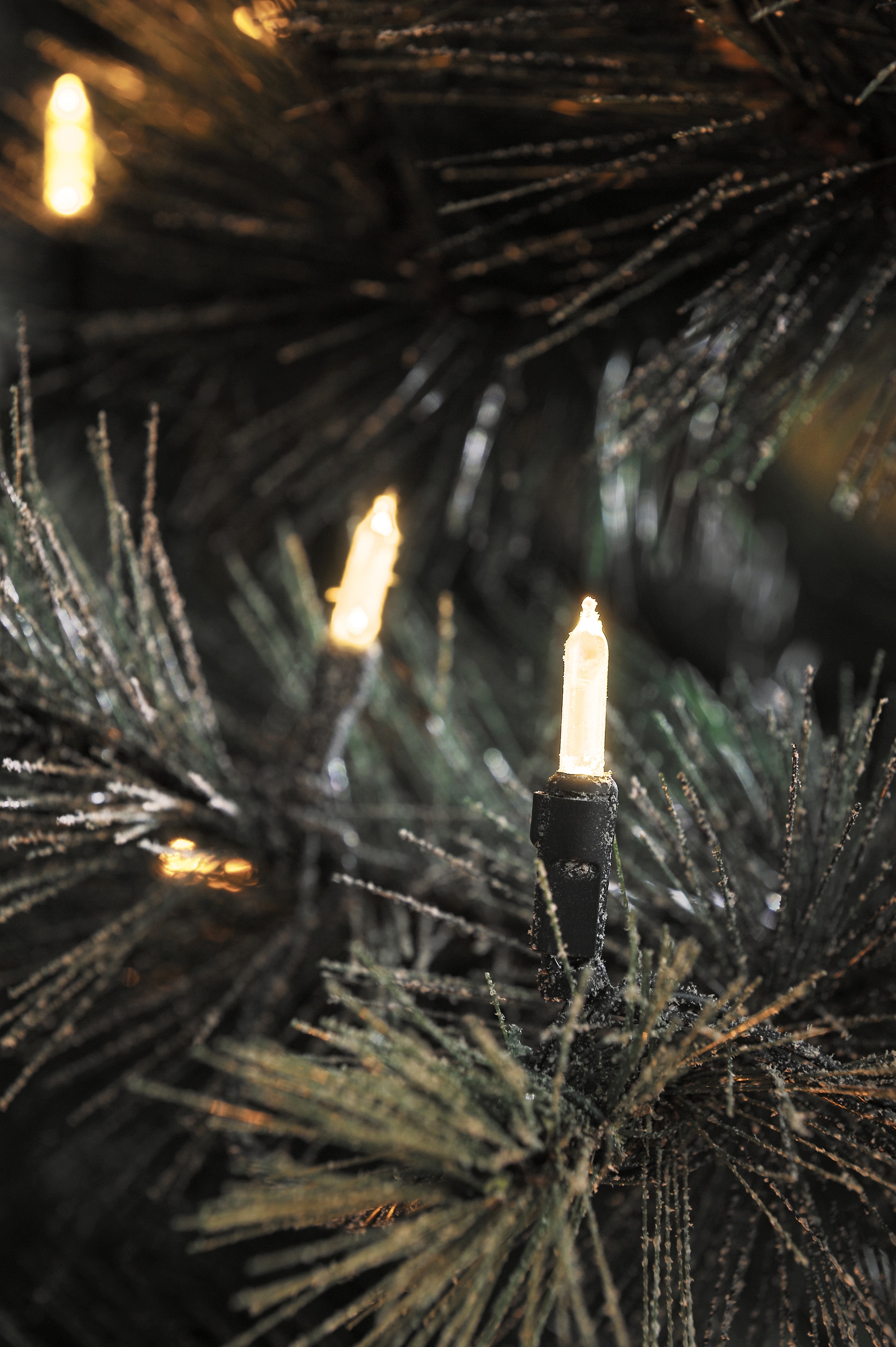 LED-Lichterkette KONSTSMIDE LED 40 aussen«, »Weihnachtsdeko bestellen St.-flammig, 40 | Dioden BAUR weiße warm Minilichterkette,