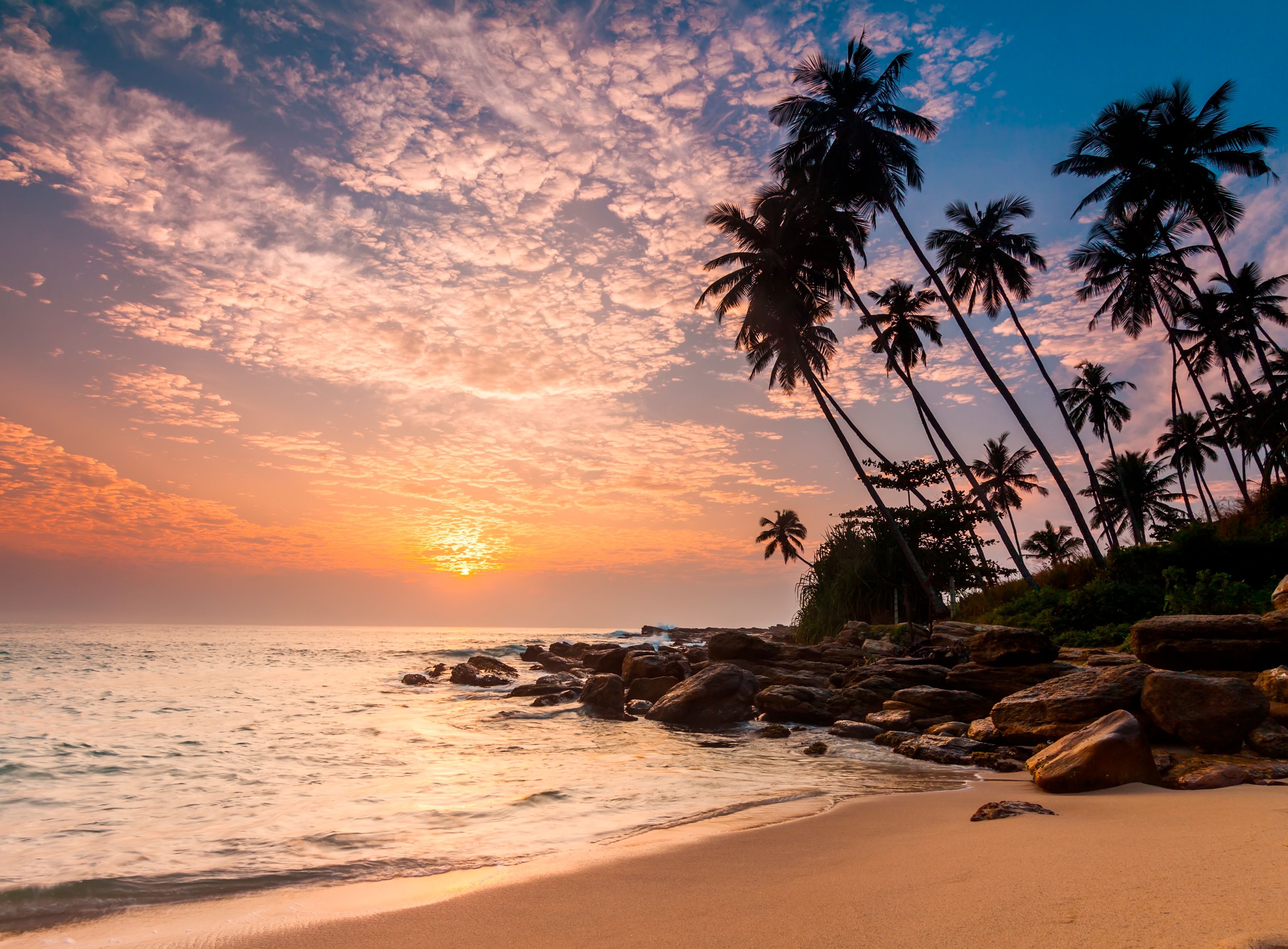 Papermoon Fototapete "Palm Beach Sri Lanka" glatt