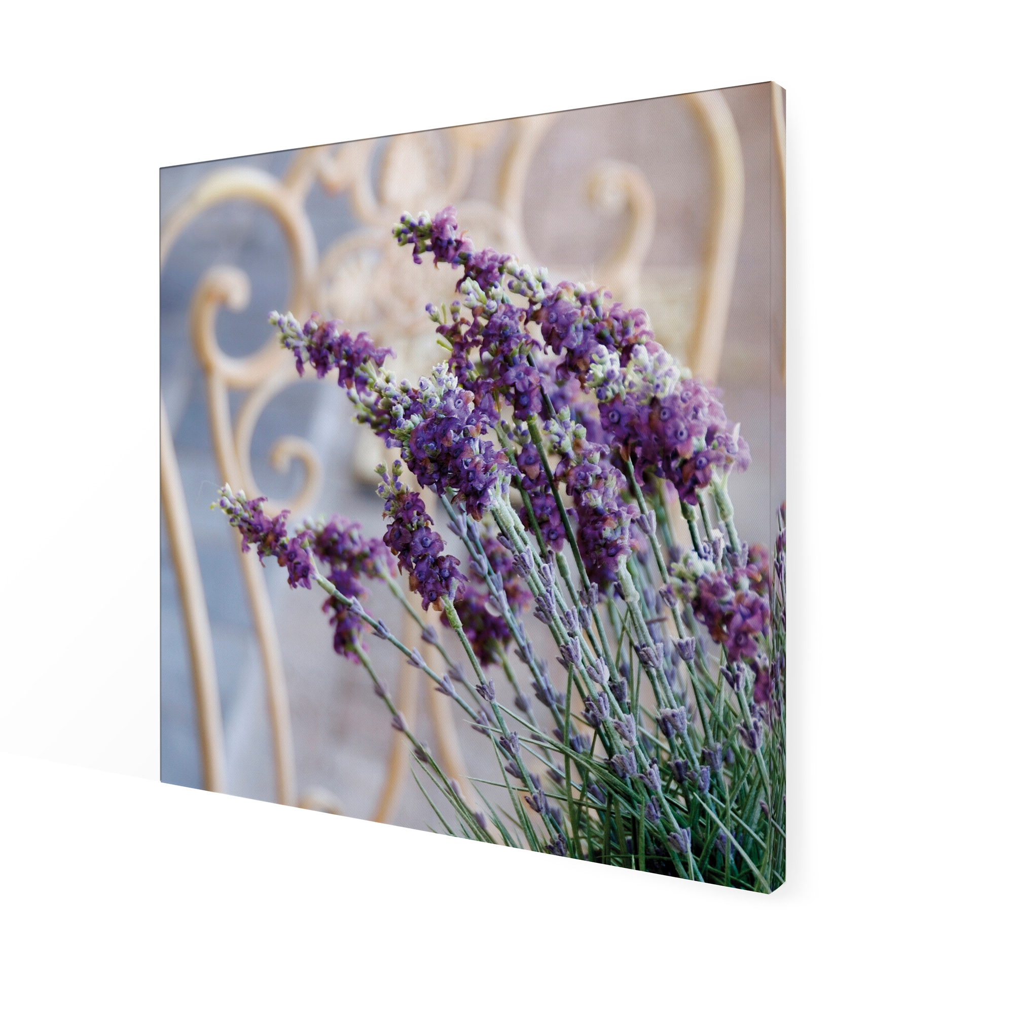 Art for the home Leinwandbild »Outdoor Lovely 50x50cm«, (1 St.)