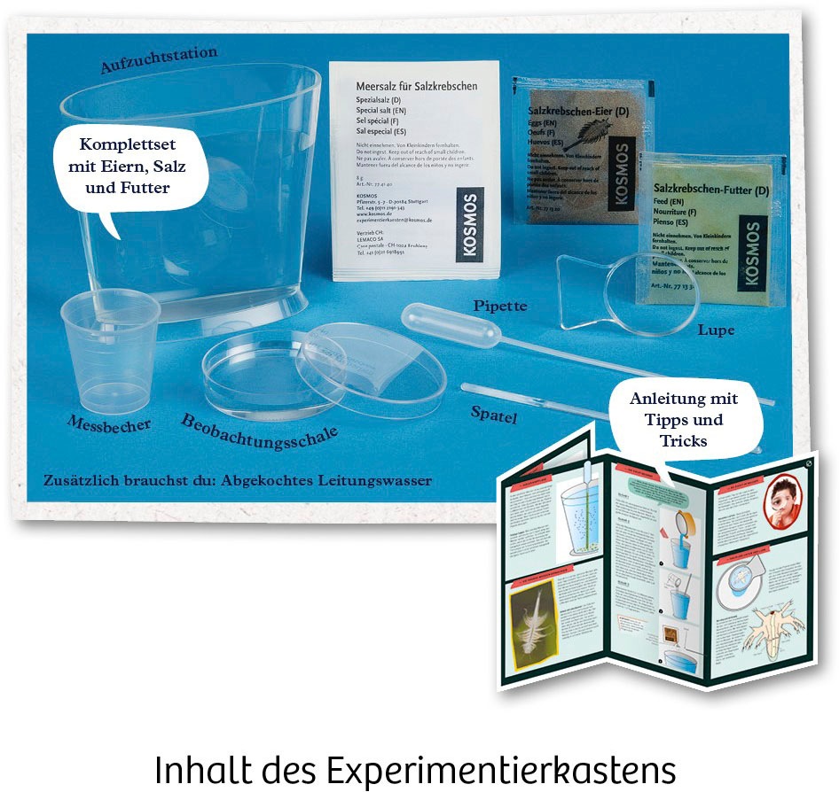 Kosmos Experimentierkasten »Urzeit-Krebse«, Made in Germany