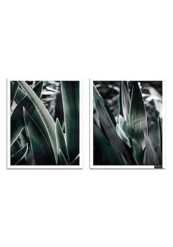 Bild mit Rahmen »Blätter - Gerahmter Digitaldruck - Wandbild«, Blätter, (1 St., 2er-Set)