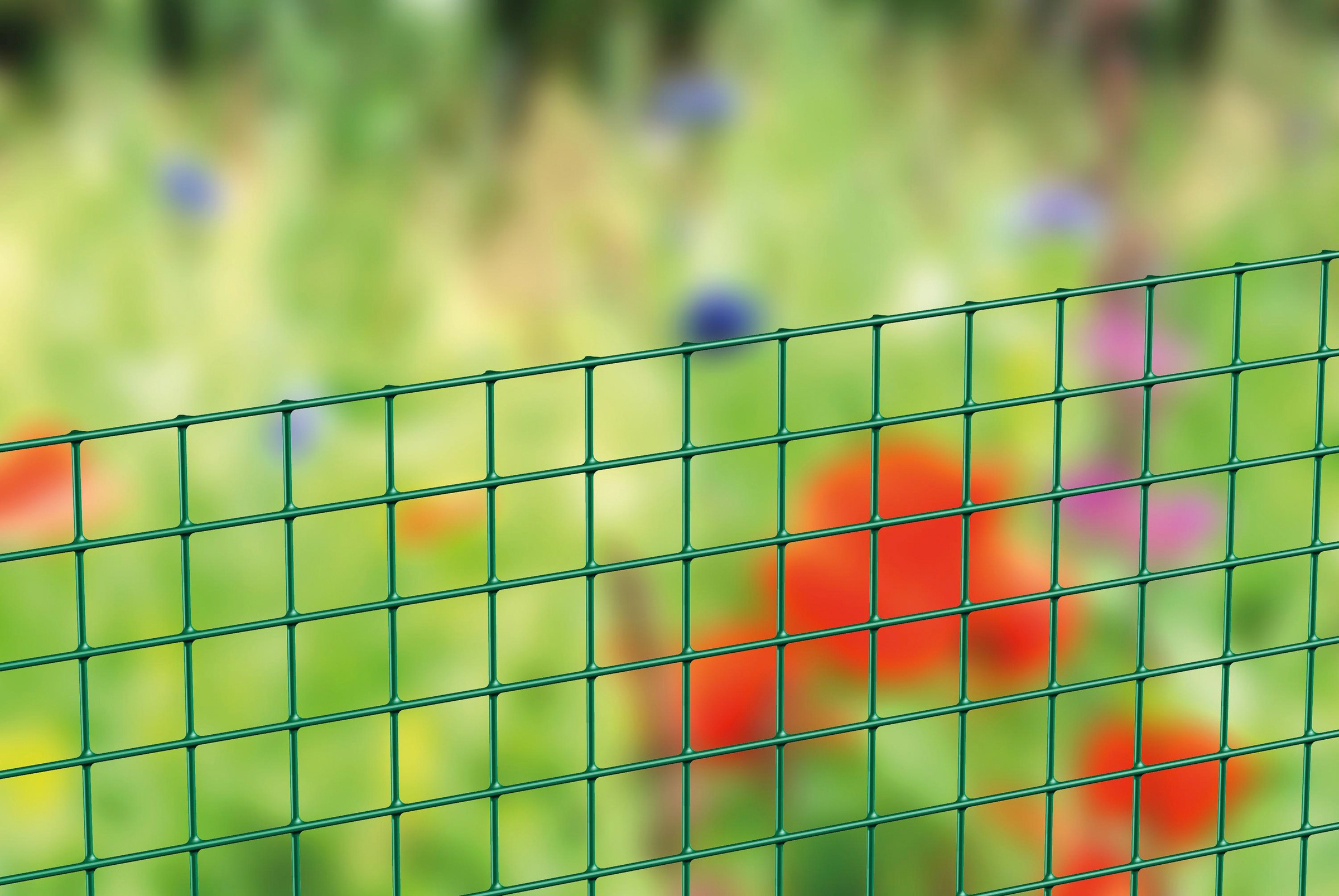 Alberts Schweißgitter Höhe: 50 und 100 cm, Gesamtlänge: 5 m günstig online kaufen