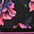 schwarz-pink-lila-blau-grün