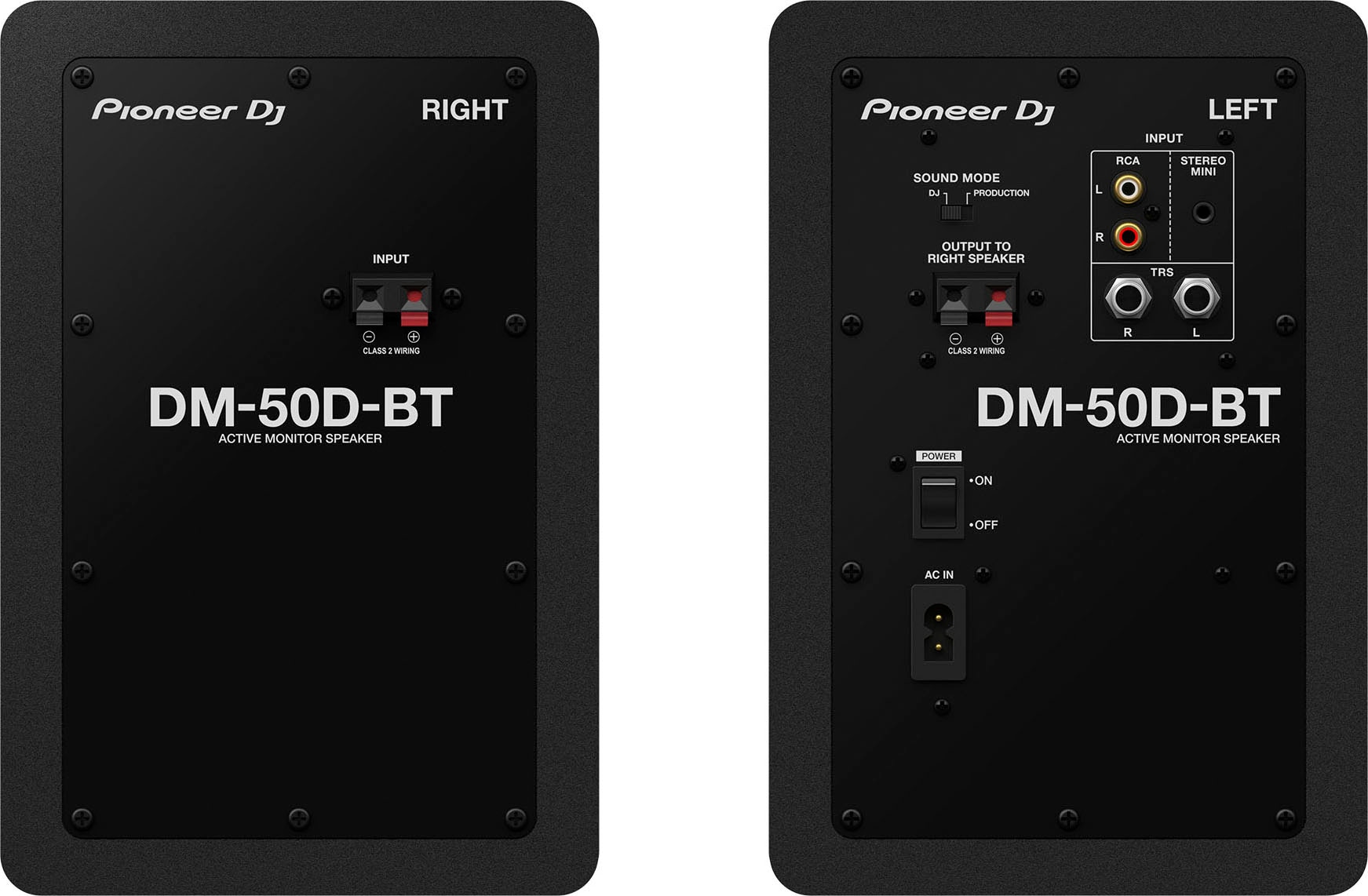 Pioneer DJ Bluetooth-Lautsprecher »DM-50D-BT«