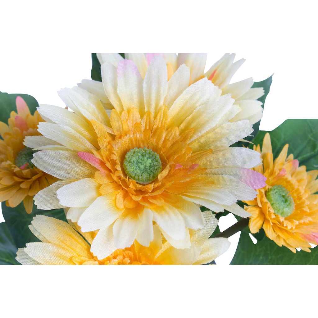 Botanic-Haus Kunstblume »Gerbera mit 5 Blüten«