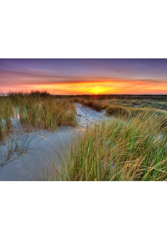 Papermoon Fototapetas »Dunes Sunset«
