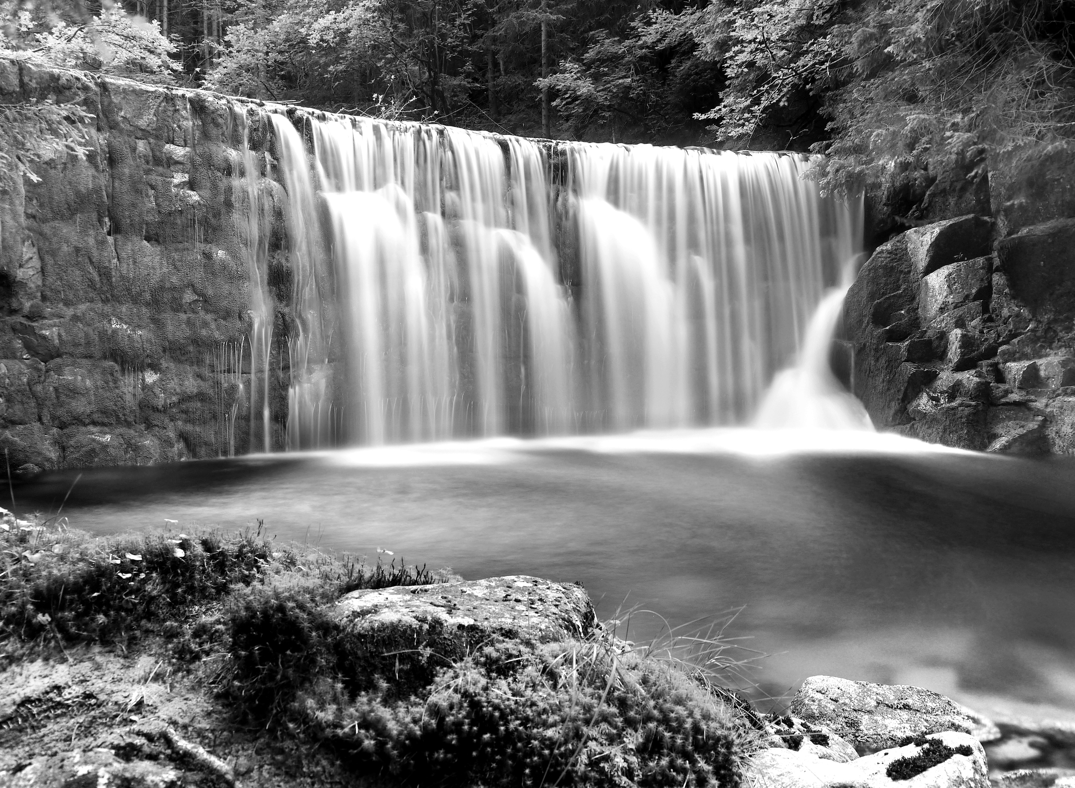Papermoon "Wasserfall im Wald Schwarz & Weiß"