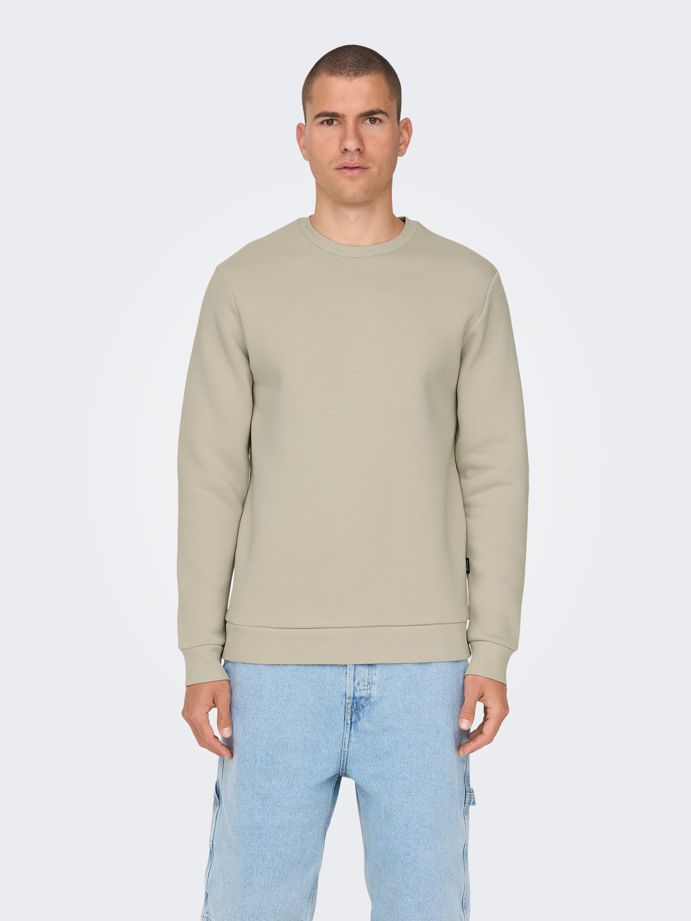 ONLY & SONS Sweatshirt »ONSCERES CREW NECK NOOS«