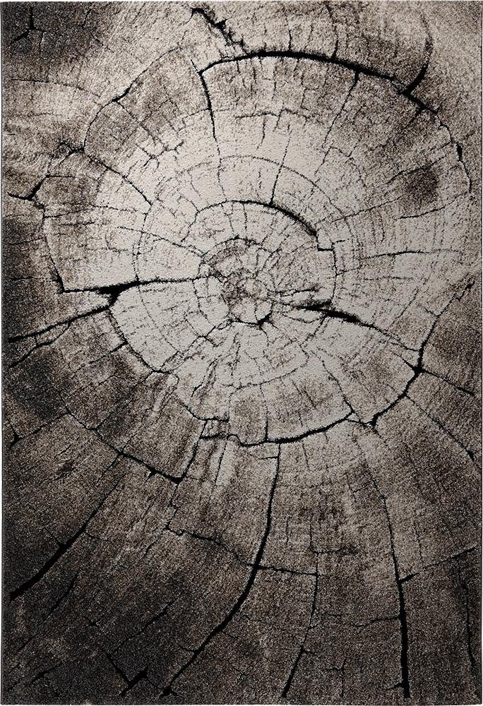 Wecon home Teppich »Wild Oak«, rechteckig, Holz Optik, Wohnzimmer