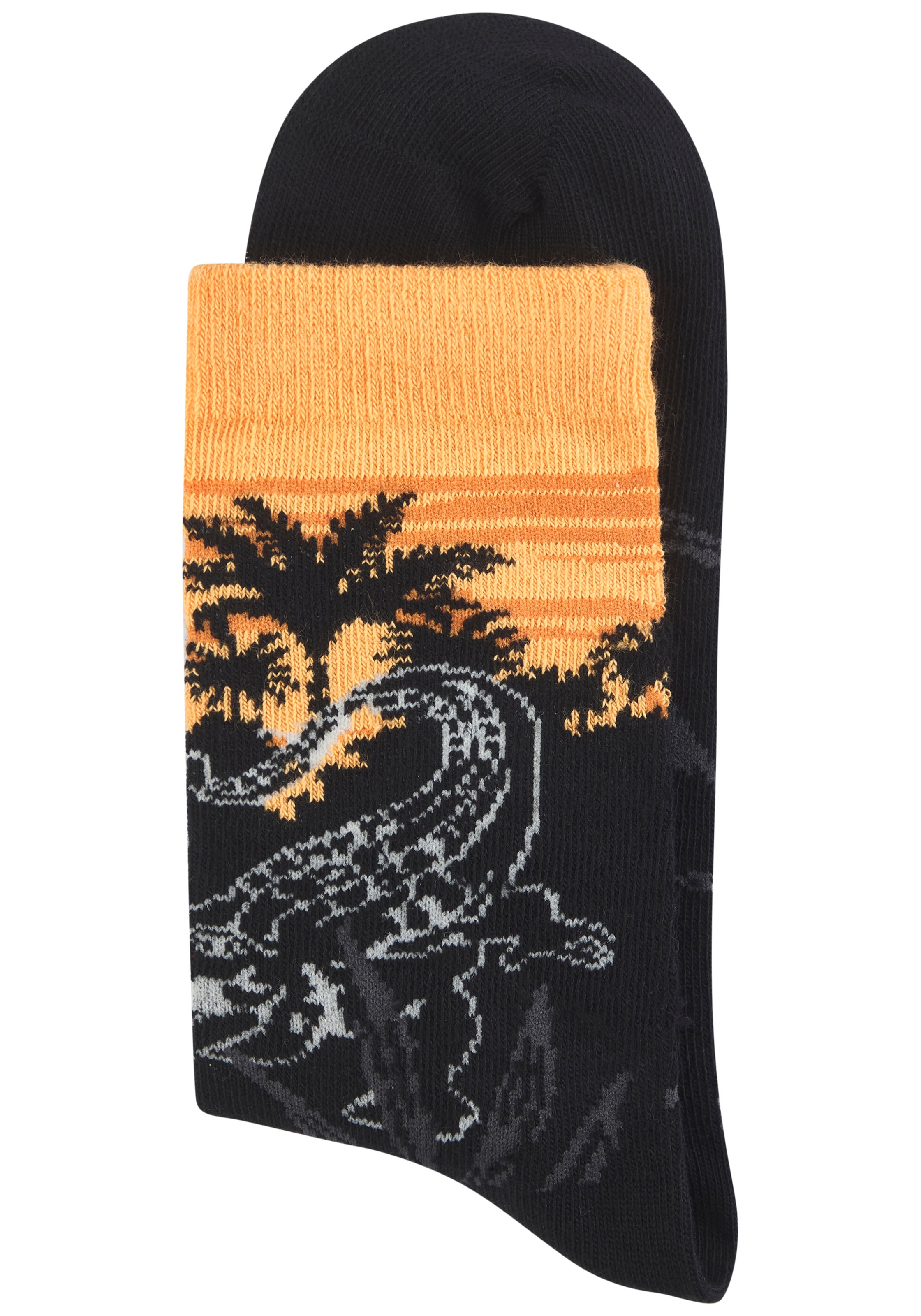 H.I.S Basicsocken Packung, 5 Paar tlg. mit aufwendigen Designs