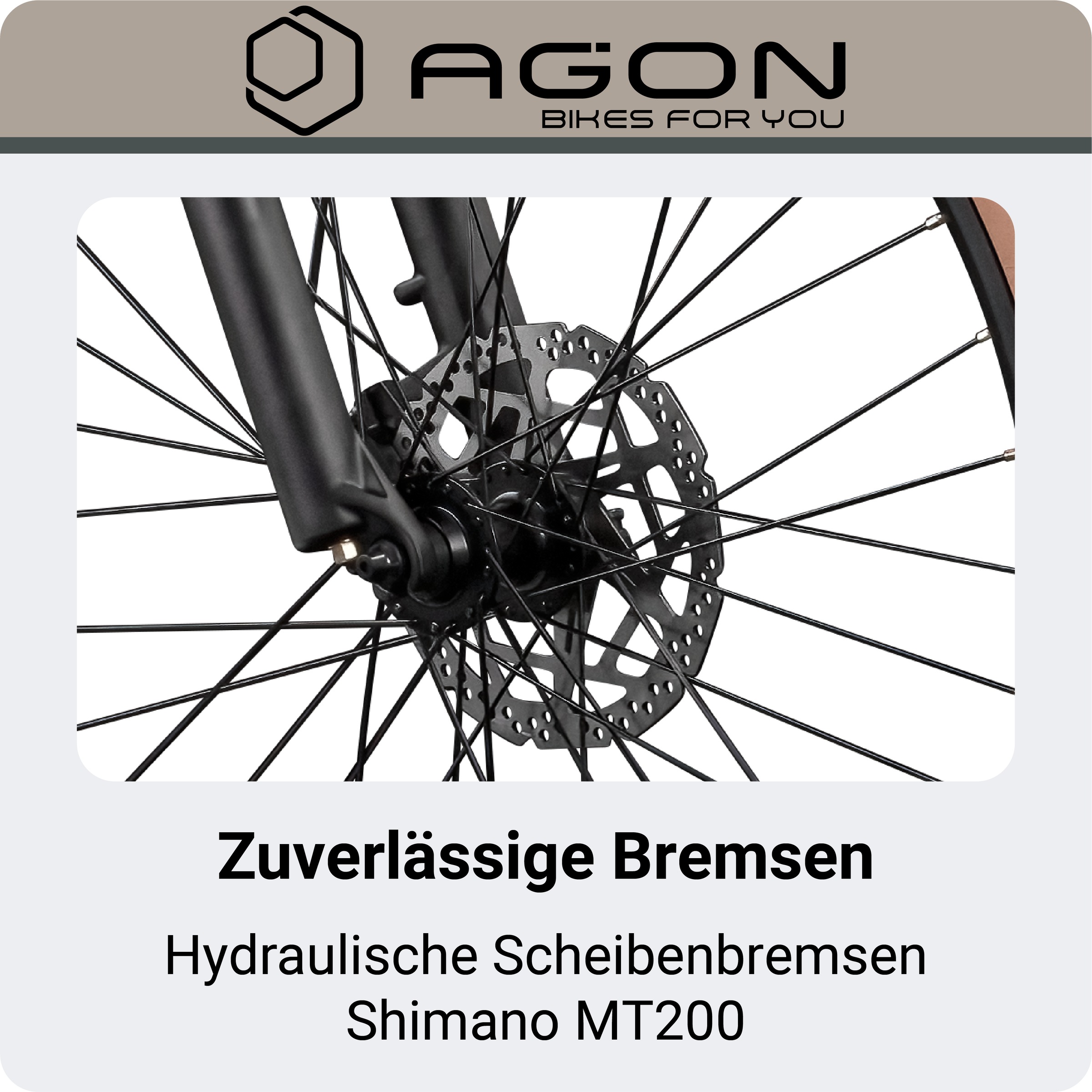 AGON »Alpha« 10 Gang Deore SGS T6000 Schaltwerk Kettenschaltung Heckmotor 250 W Pedelec, Elektrofahrrad für Damen u. Herren, MTB