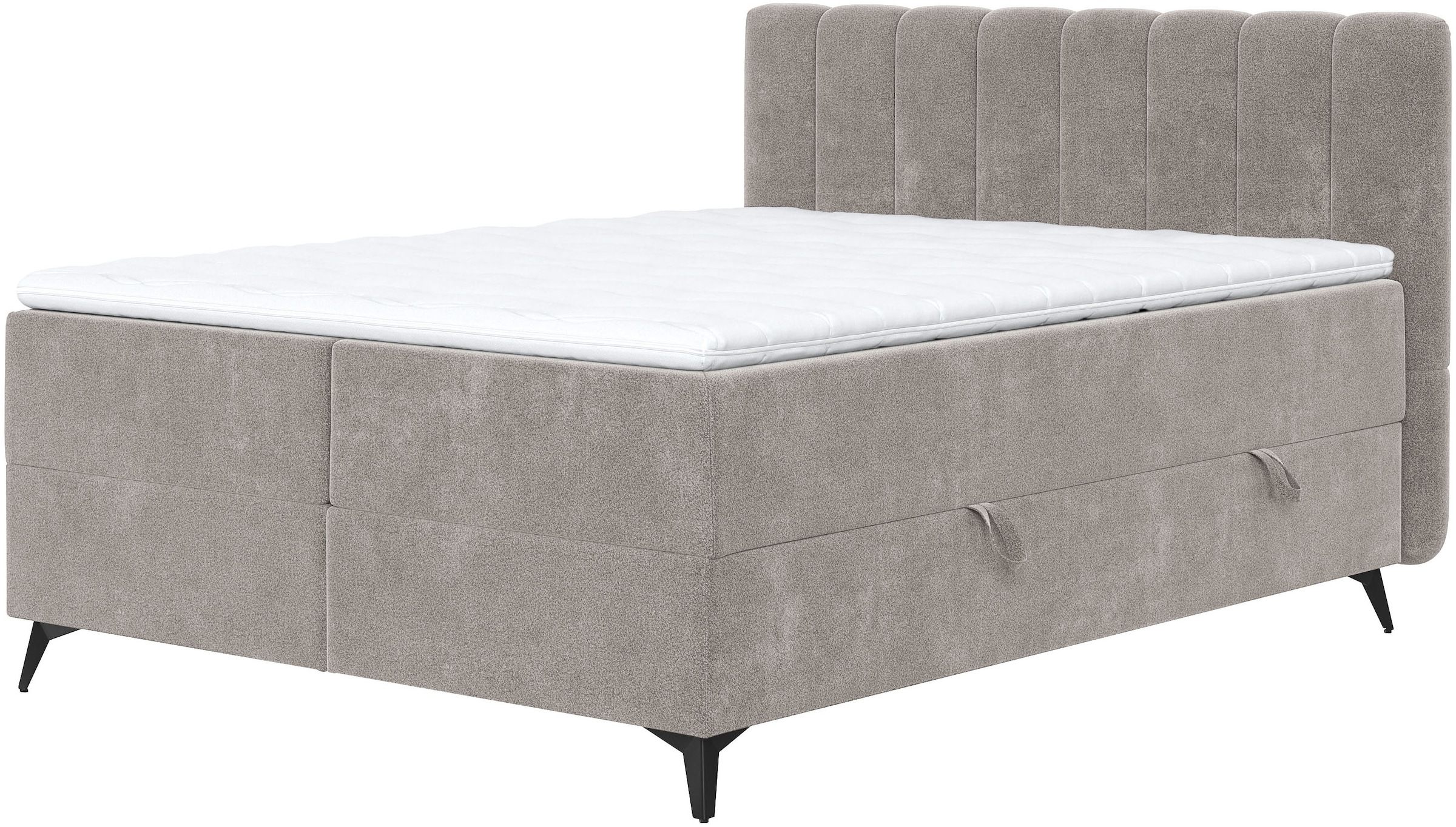 COTTA Boxbett "Vicky inkl. Bettkasten" erhältlich in den Breiten 160x200cm & 180x200cm
