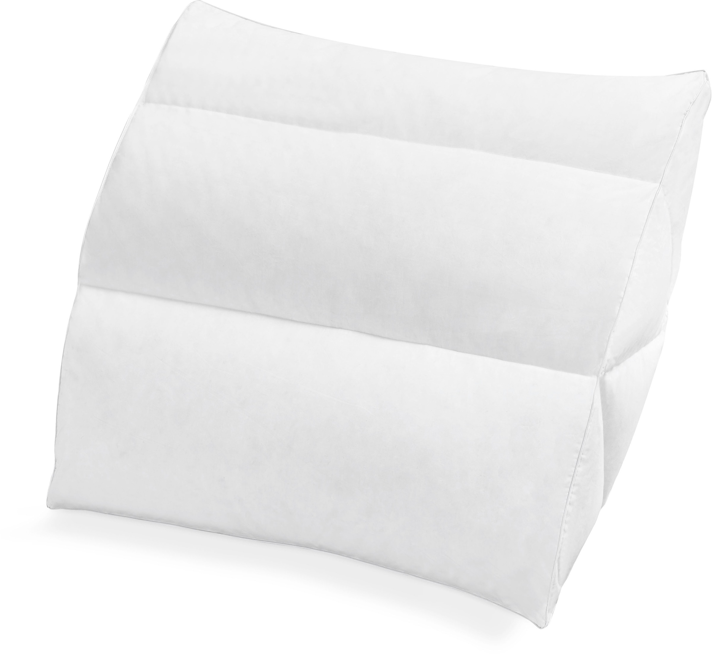 Haeussling Federkissen "BodyPerfect ModernLine" Füllung: 70Federn30Daunen 1 günstig online kaufen