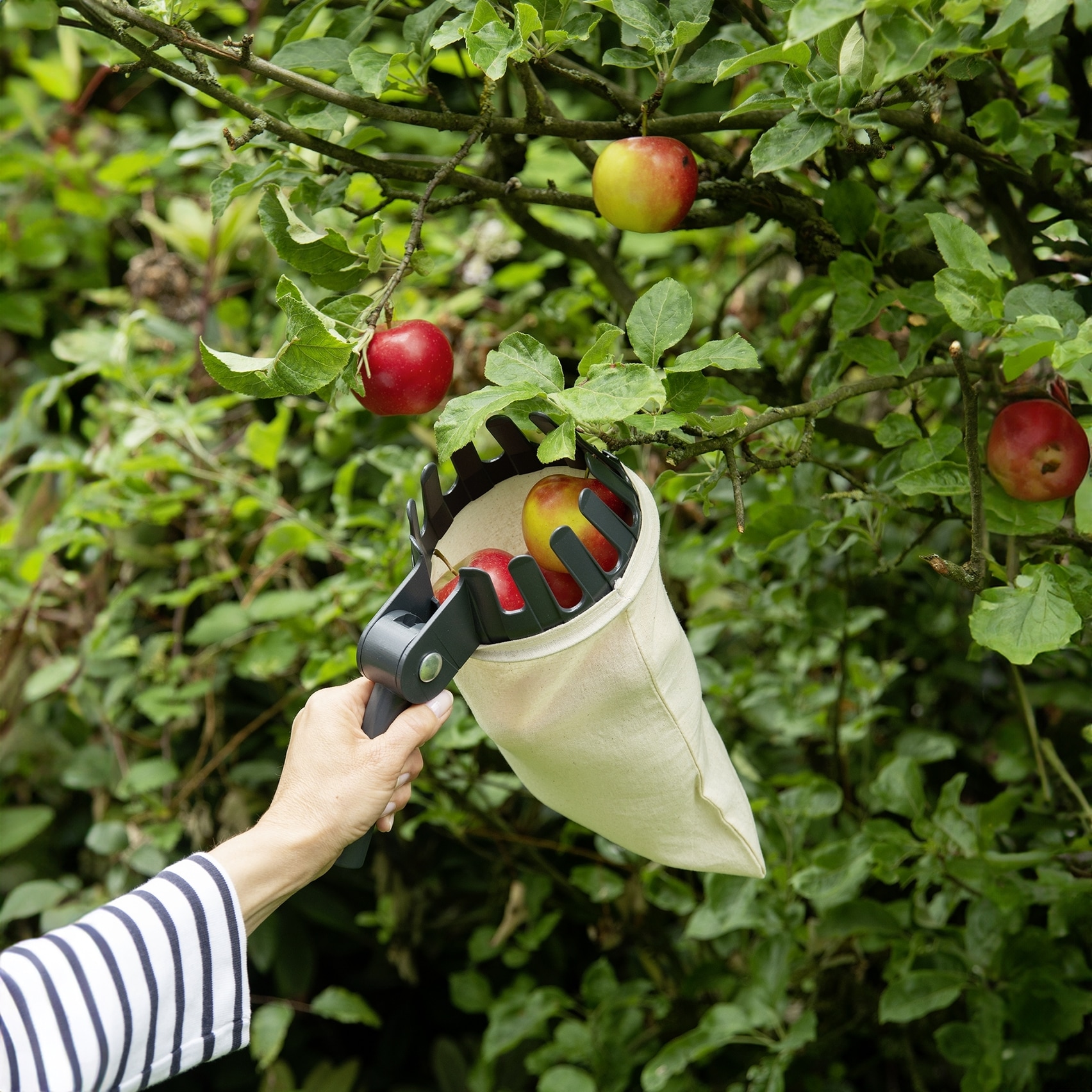 Maximex Obstpflücker »Obstsammler XL« mit Teleskopstiel, 270º-Knickgelenk, ausziehbar von 56 - 122 cm