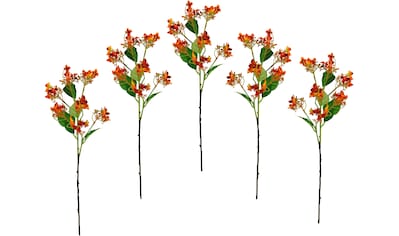 I.GE.A. Kunstblume »Blütenzweig«, (5 St.), 5er Set künstlicher Zweig, Kunstpflanze,... kaufen