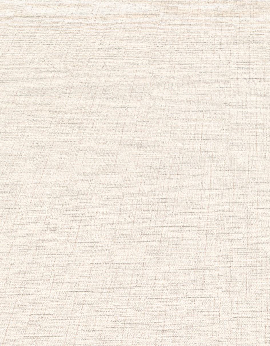 Erismann Vliestapete »Paradisio 2«, 10,05 x 0,53m Uni