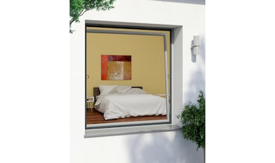 Windhager Insektenschutz-Fensterrahmen »RHINO«, BxH: 130x150 cm kaufen