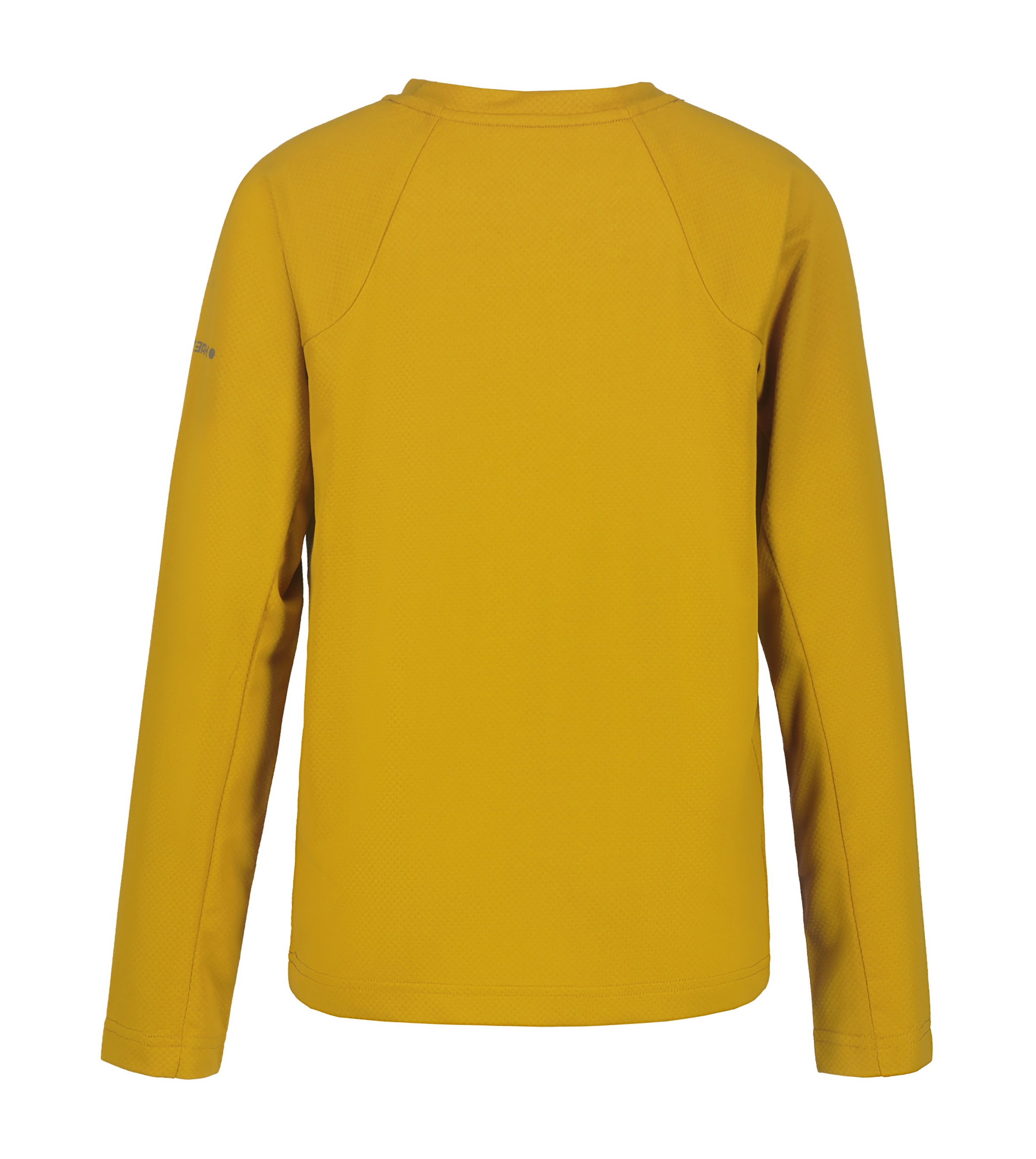 Icepeak Funktionsshirt »Icepeak Hemd KERSHAW JR«