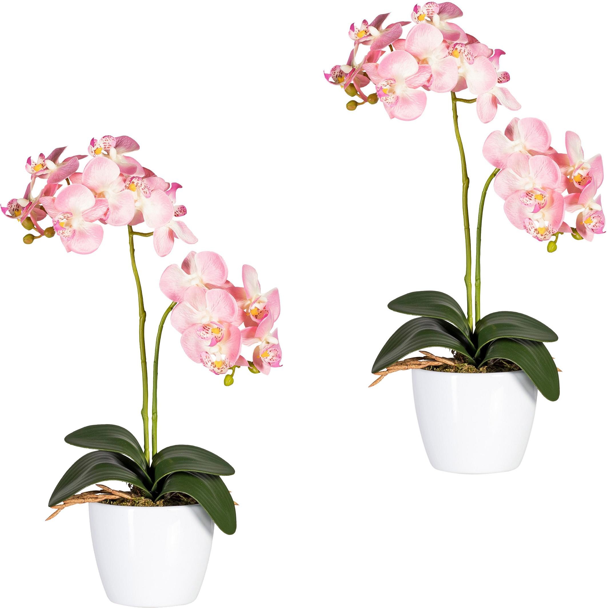 Creativ green Kunstpflanze »Phalaenopsis«