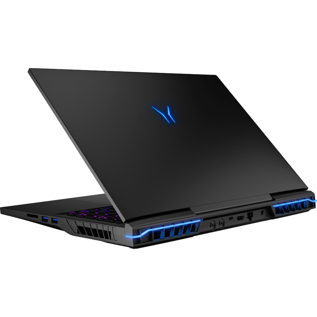 Medion® Gaming-Notebook »ERAZER Beast X40«, 43,2 cm, / 17 Zoll, Intel, Core i9, GeForce RTX 4080, 1000 GB SSD