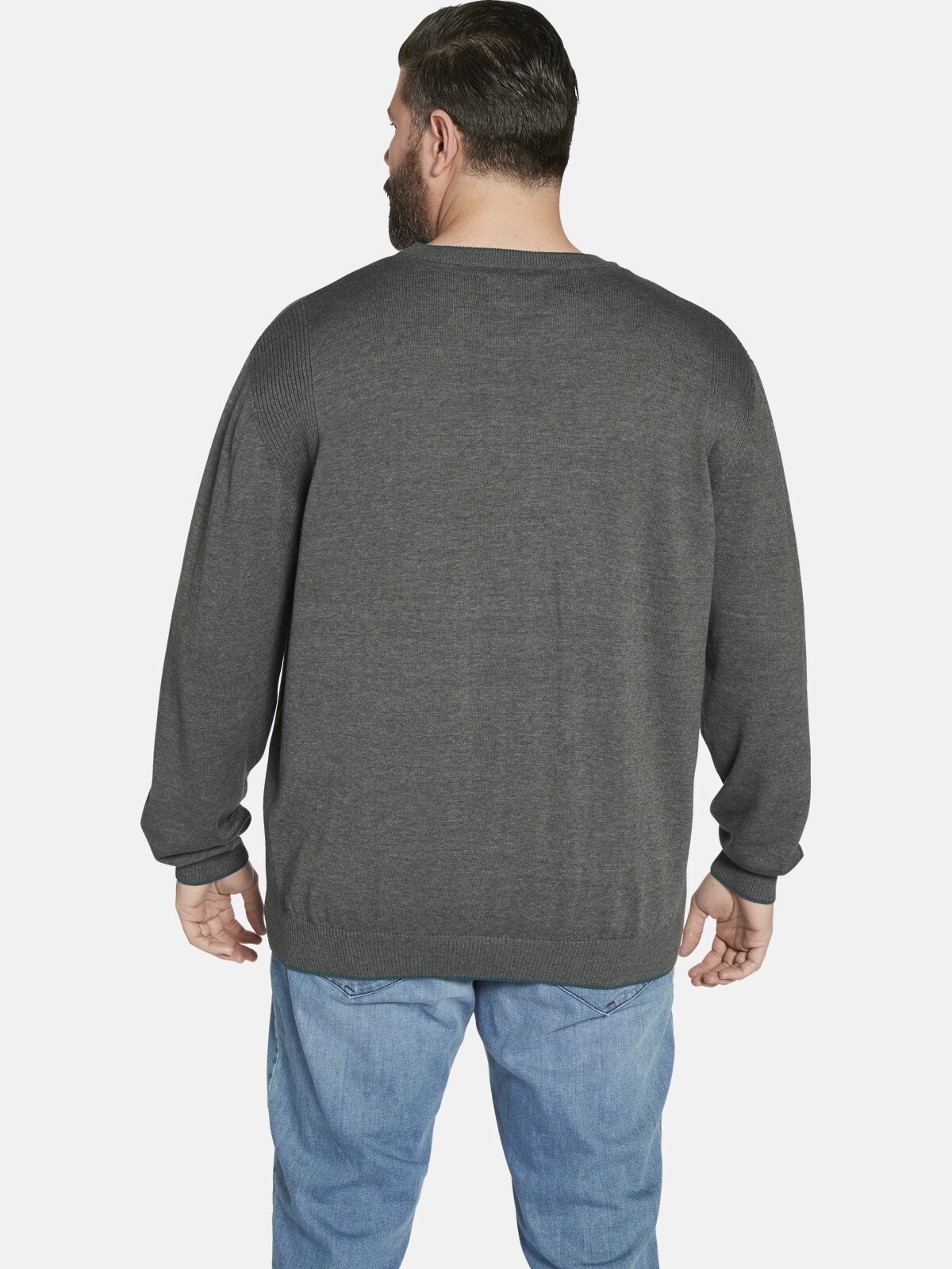 Charles Colby Rundhalspullover »Pullover EARL ARCHIE«