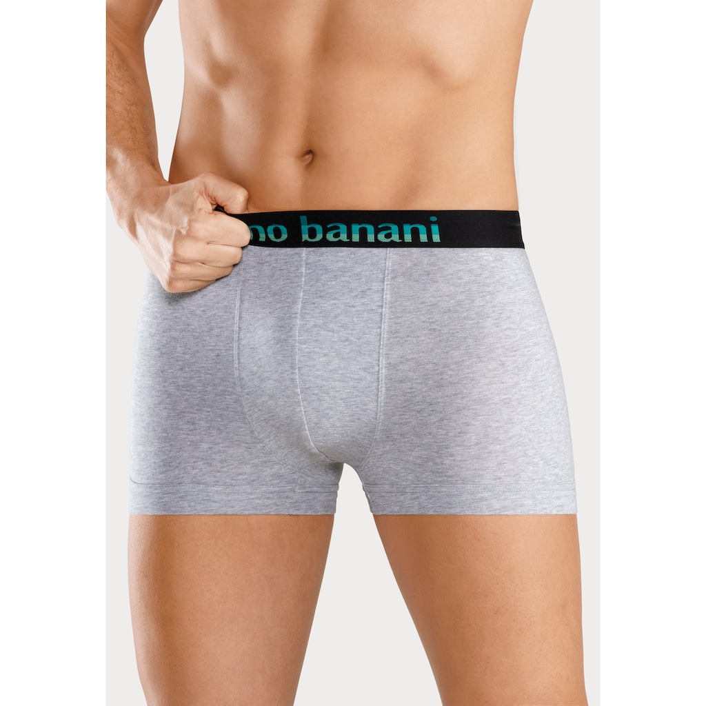 Bruno Banani Boxer, (Packung, 5 St.), mit Streifen Logo Webbund