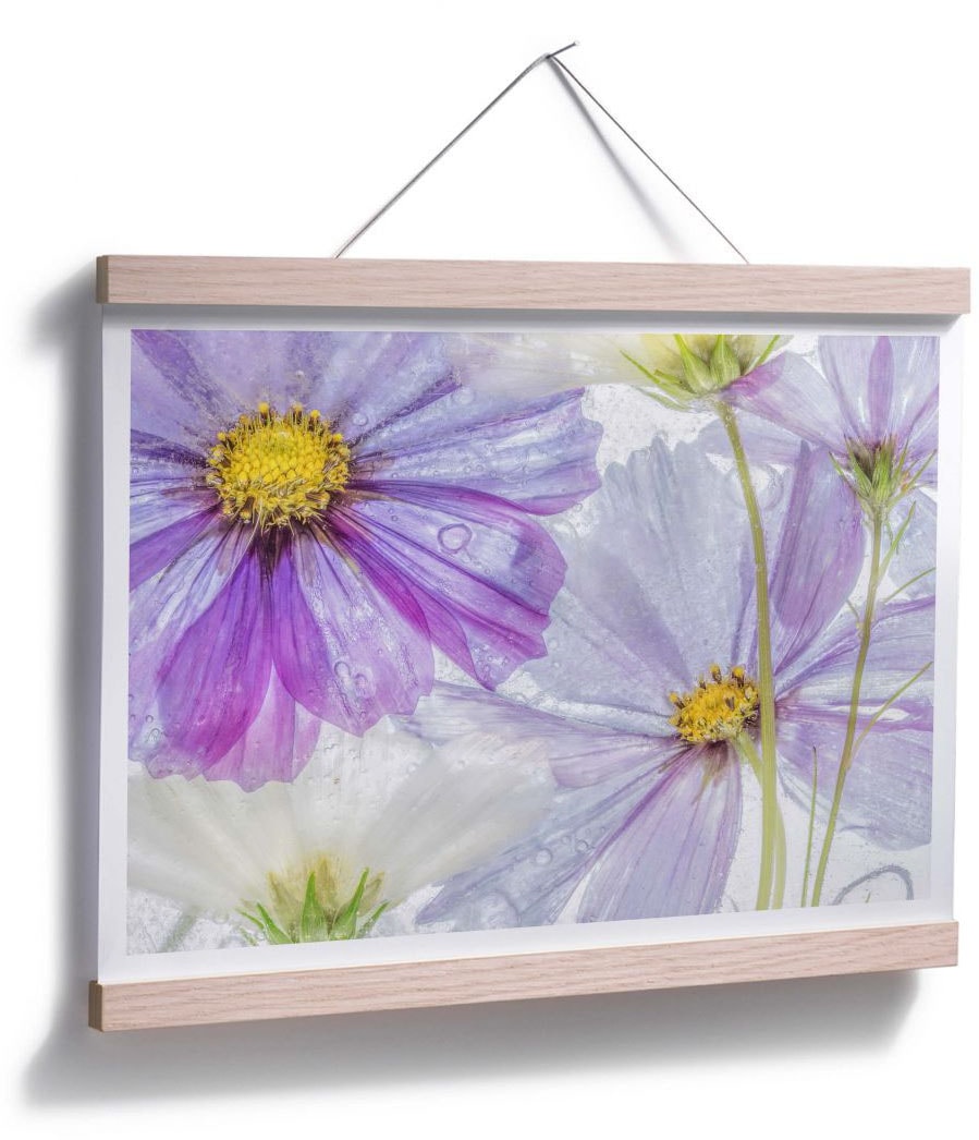 Wall-Art Poster bestellen St.) »Frozen Blumen, (1 Flowers«, | BAUR