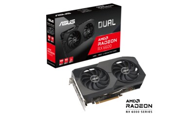 Grafikkarte »DUAL-RX6600-8G-V2«, 8 GB, GDDR6