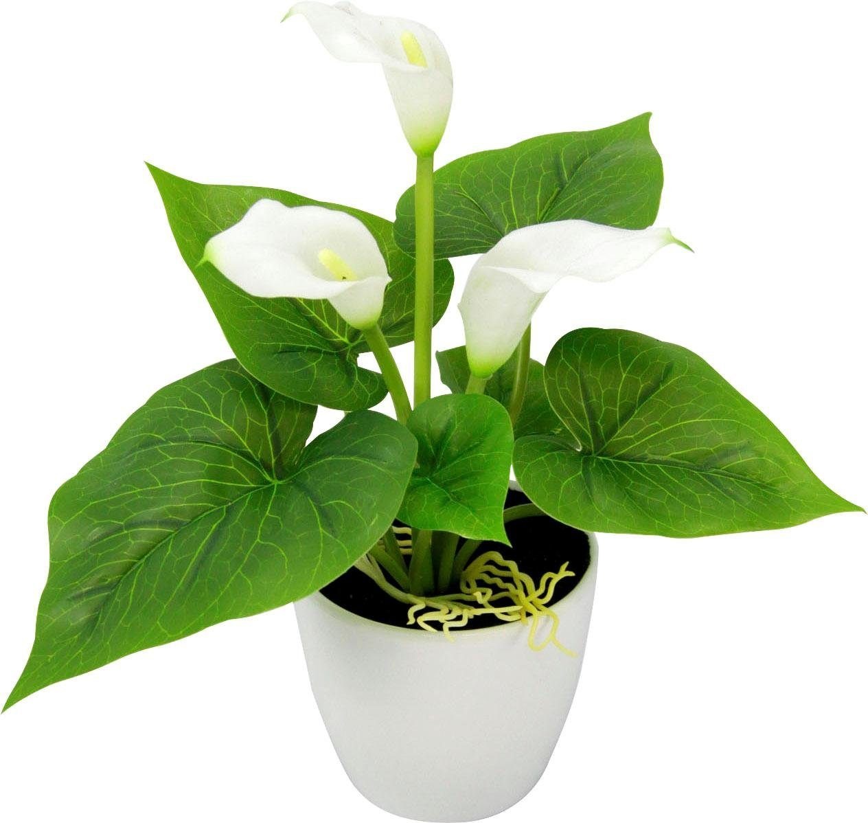 I.GE.A. Kunstpflanze »Mini Calla«