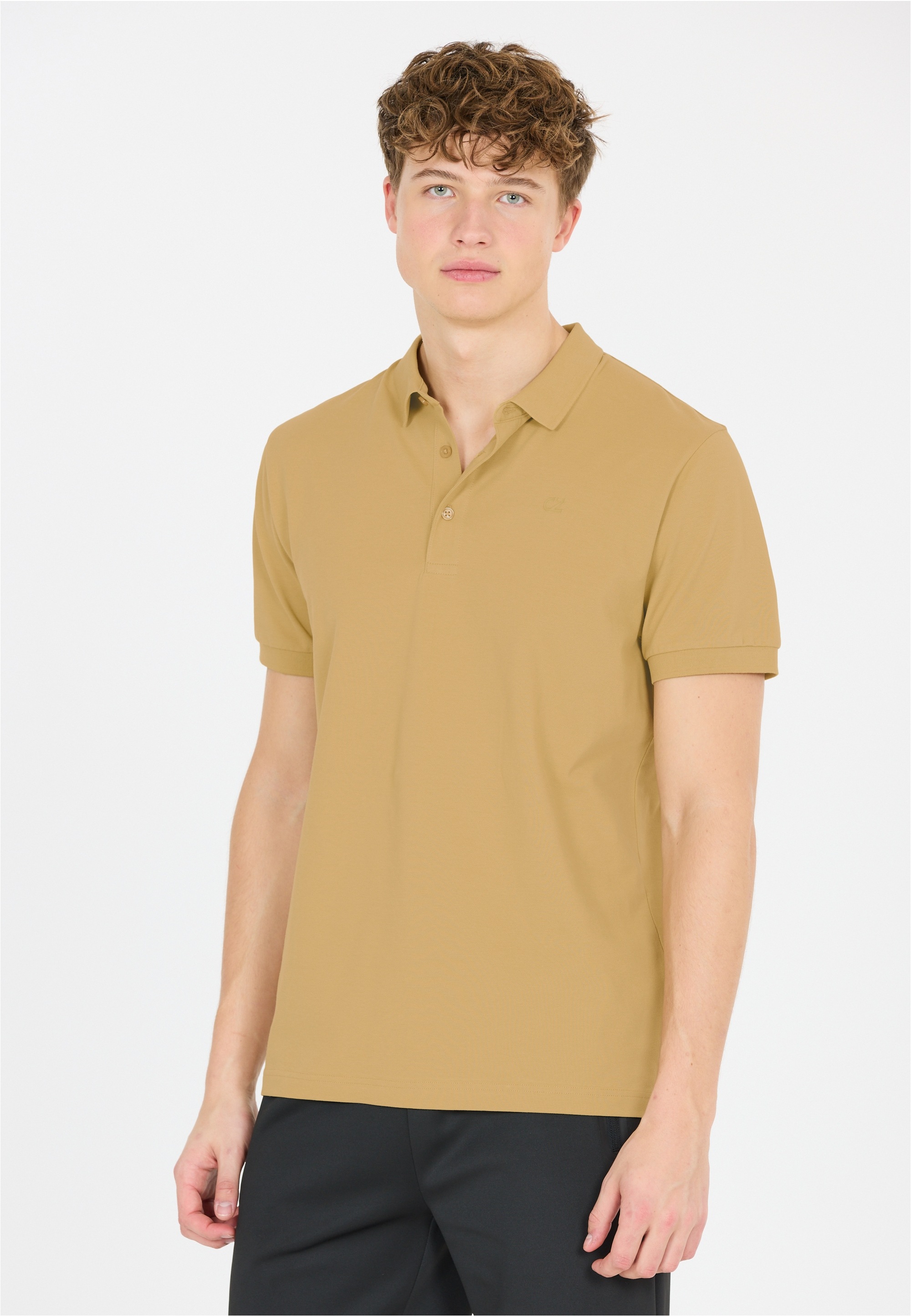 CRUZ Langarm-Poloshirt "Harrold M" im klassischen und vielseitigen Look