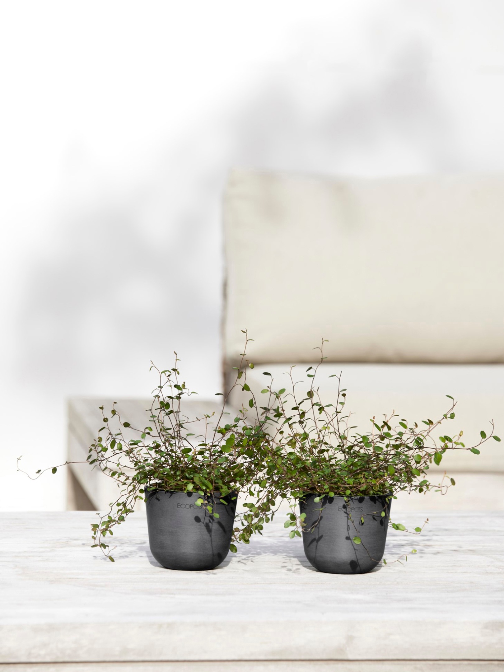 ECOPOTS Blumentopf »Oslo Mini 11,5 Dunkelgrau«, für den Innenbereich