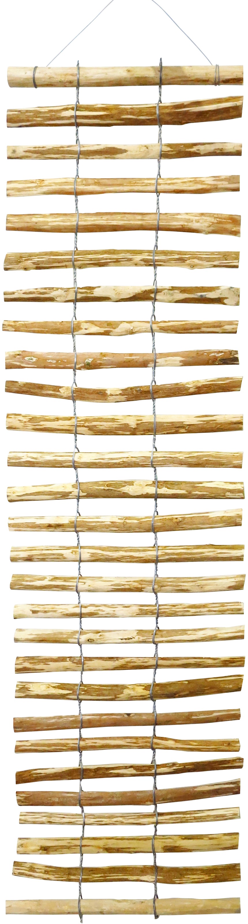 dobar Rankhilfe LxB: 50x200 cm, Haselnuss günstig online kaufen