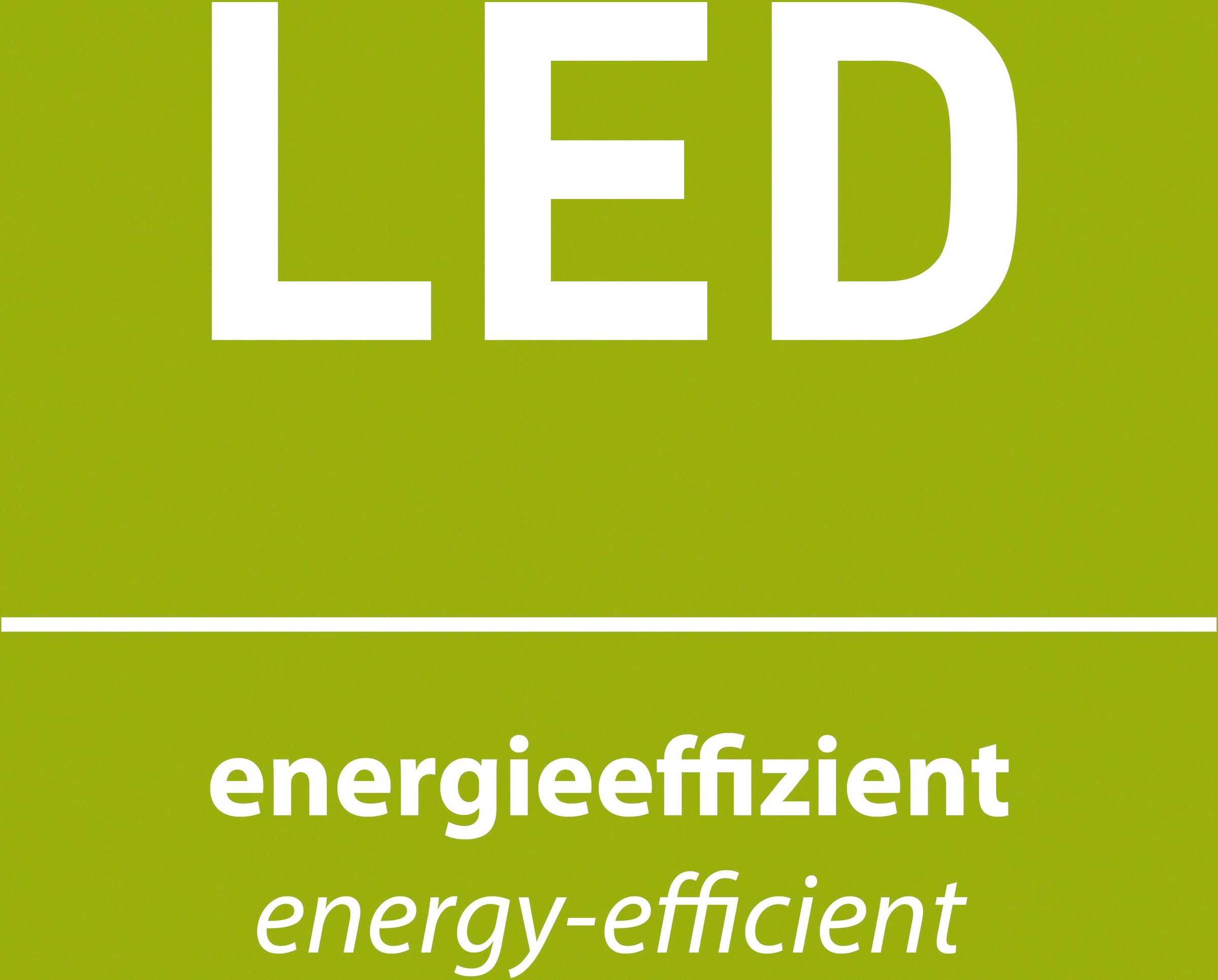 Paul Neuhaus Tischleuchte »POPSICLE«, 4 flammig, Leuchtmittel G9 | LED wechselbar