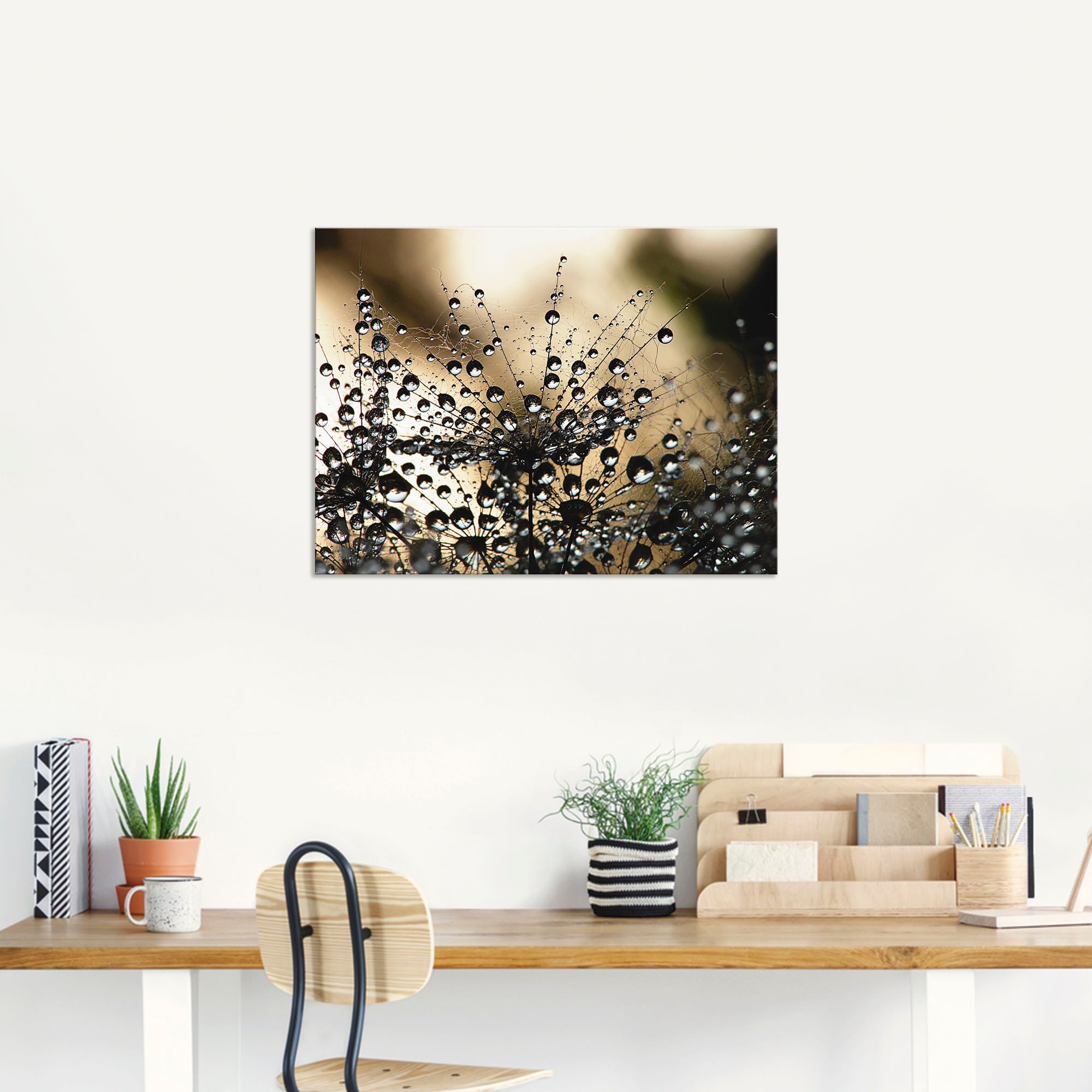 Thumbnail - Artland Wandbild "Nasser Löwenzahn" Blumen 1 Stk. tlg. als Alubild, Leinwandbild in verschied. Größen