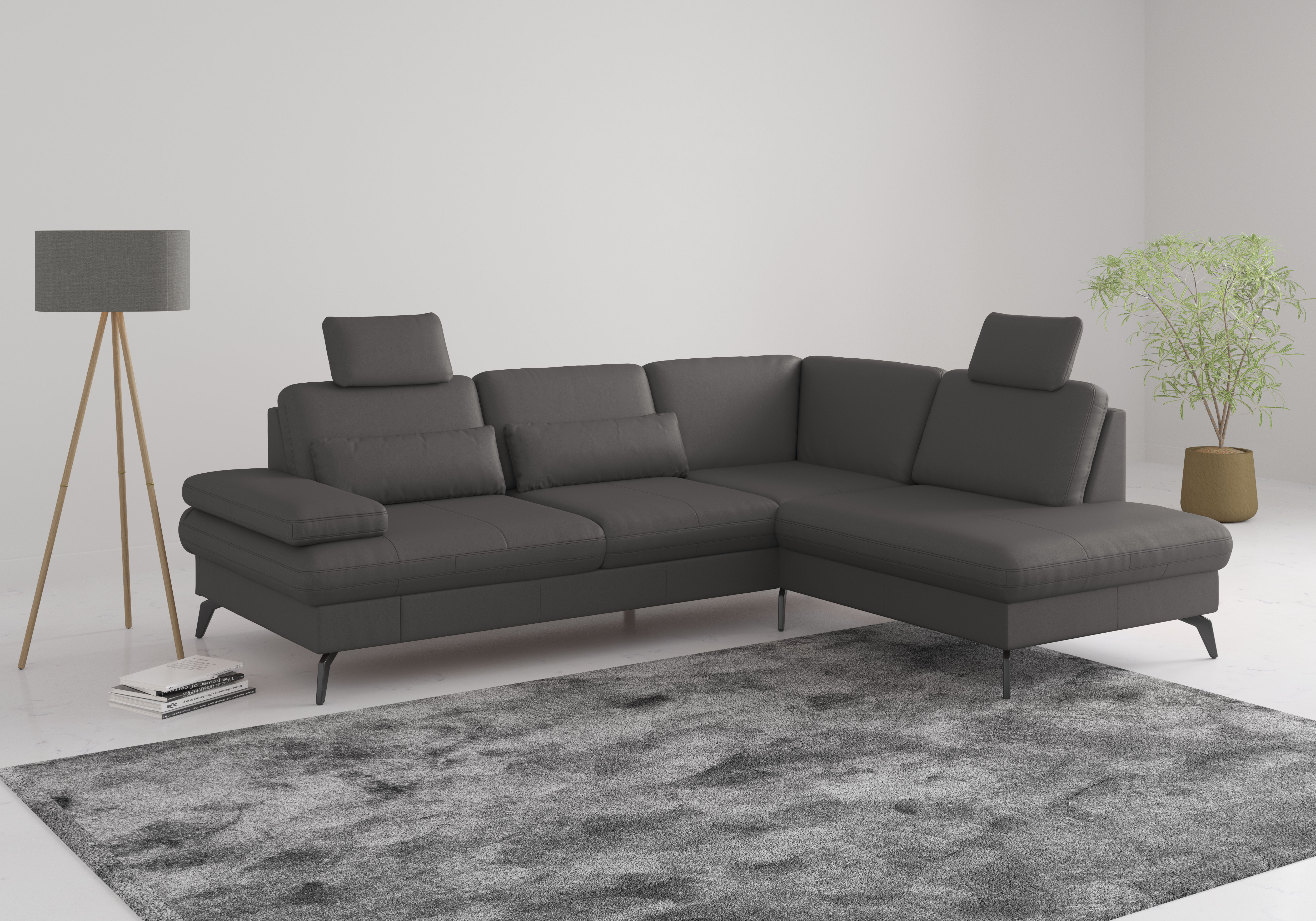 sit&more Ecksofa "Morris L-Form, inkl. Sitztiefenverstellung" wahlweise mit Armteilverstellung, Schlaffunktion & Bettkasten