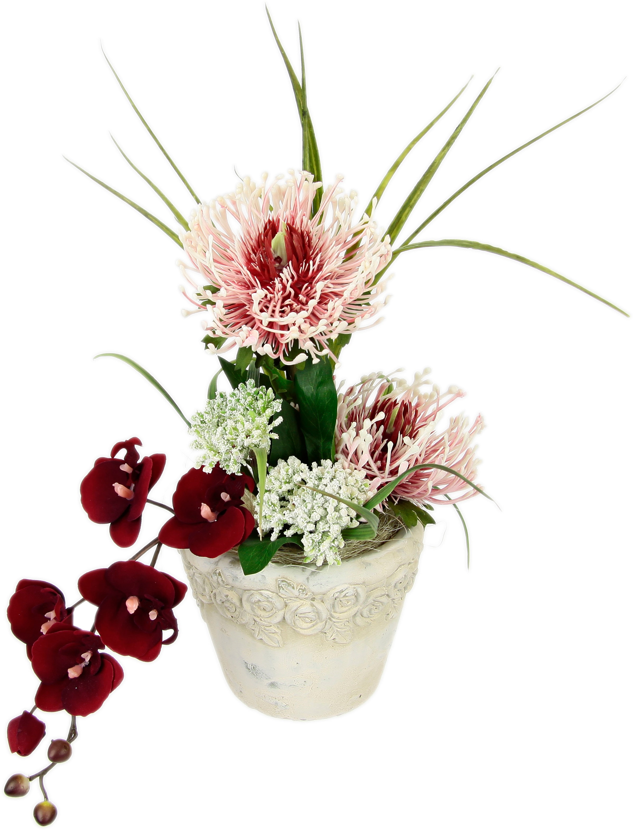 I.GE.A. Tischdeko Kunstblume Wanddeko oder »Orchidee«, | Zum BAUR bestellen Hängen Mittelstücke